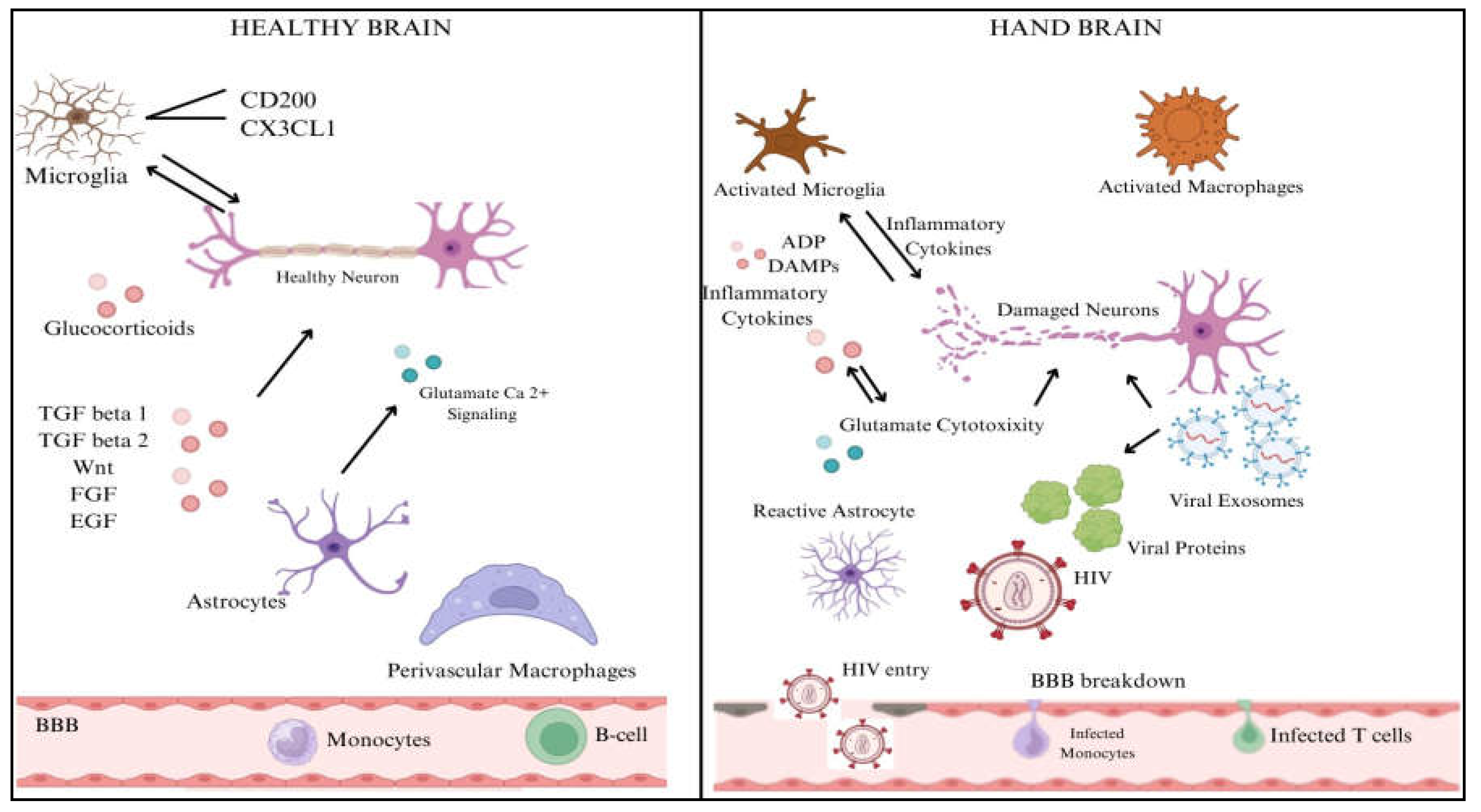 Preprints 155603 g003