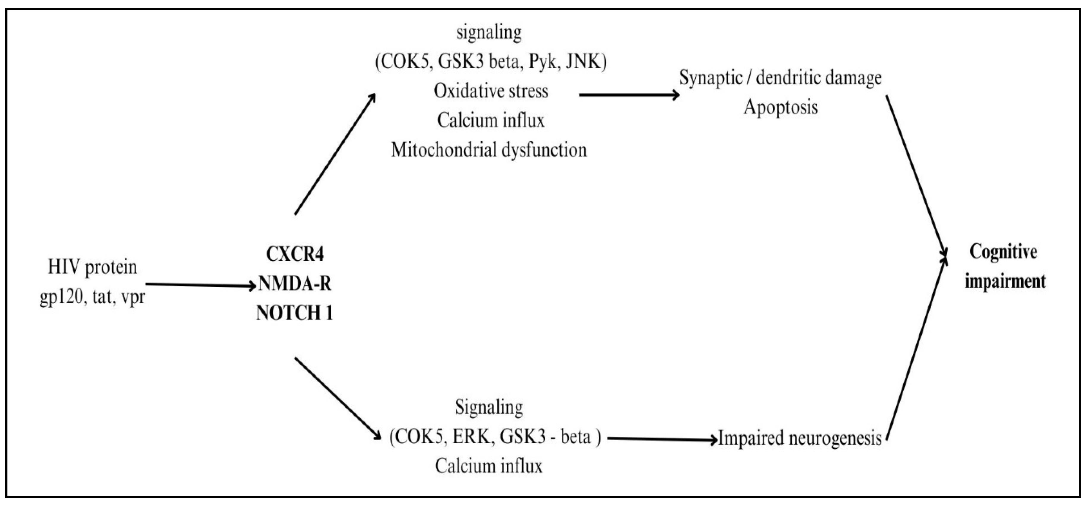 Preprints 155603 g005