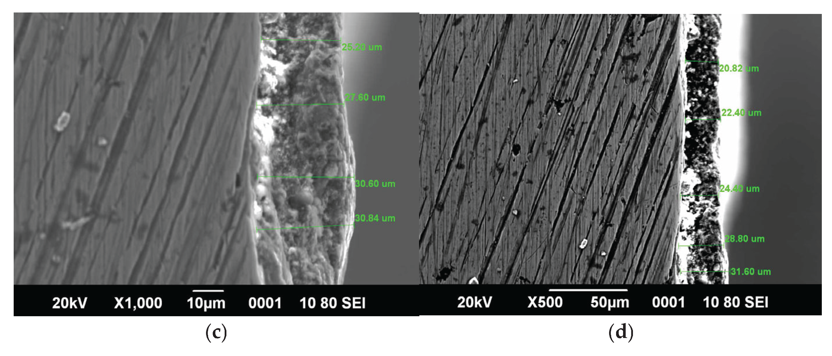 Preprints 165462 g003b