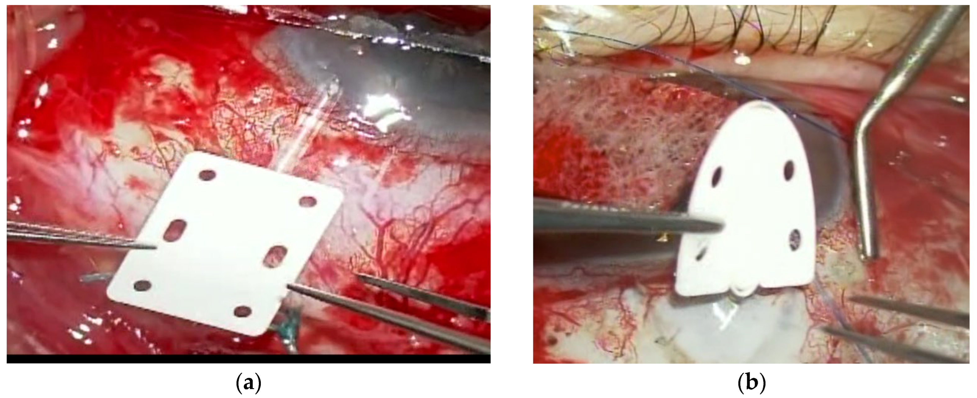 Preprints 201093 g001