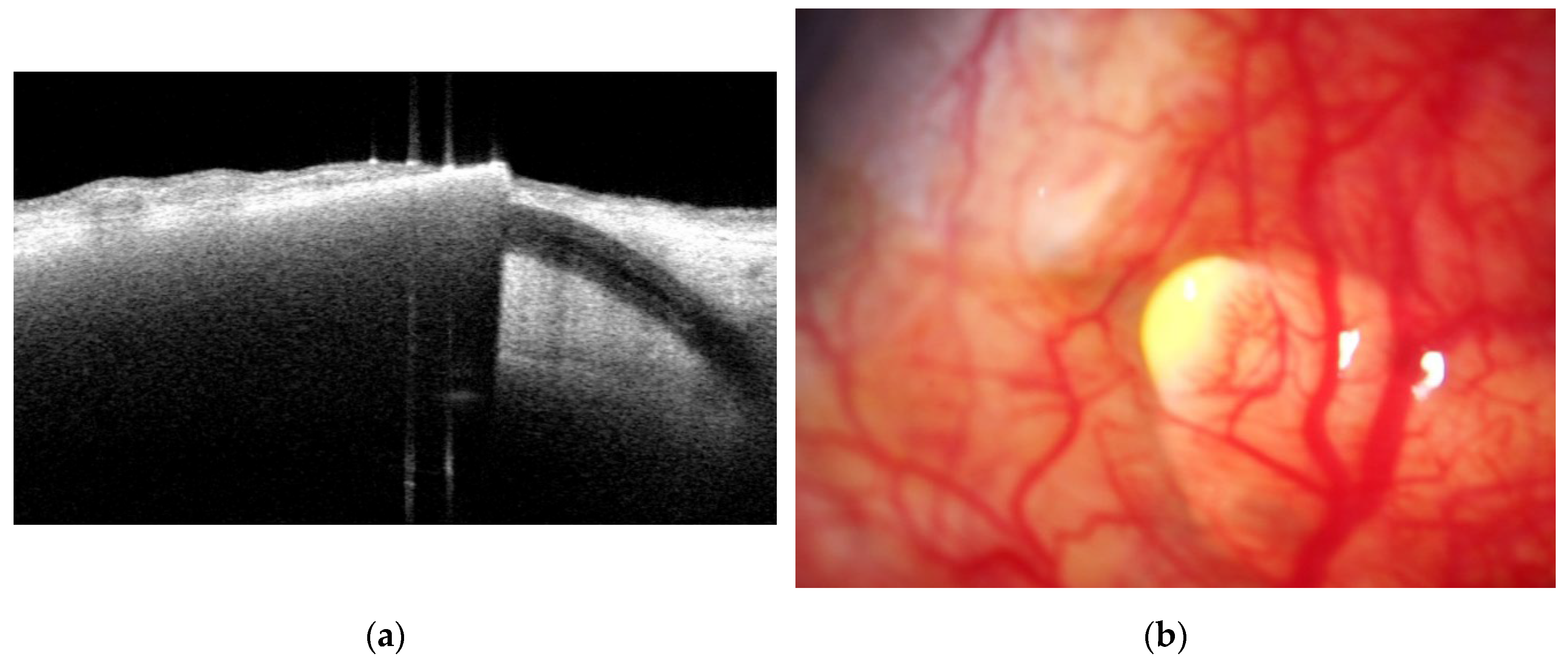 Preprints 201093 g006