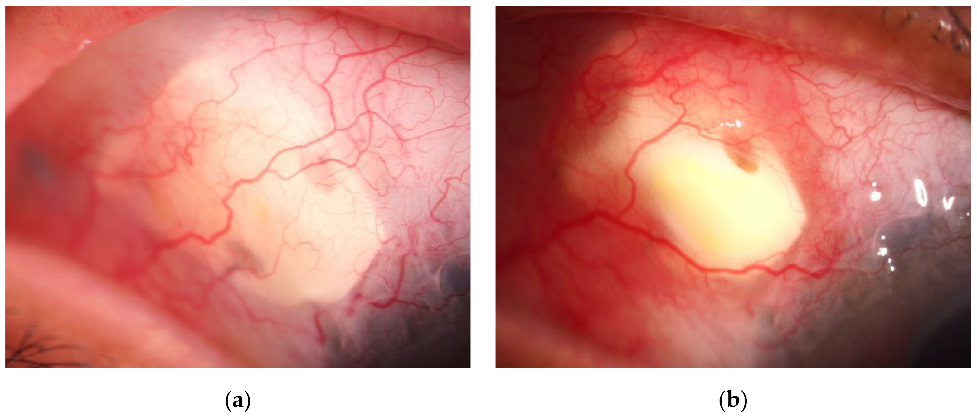 Preprints 201093 g007