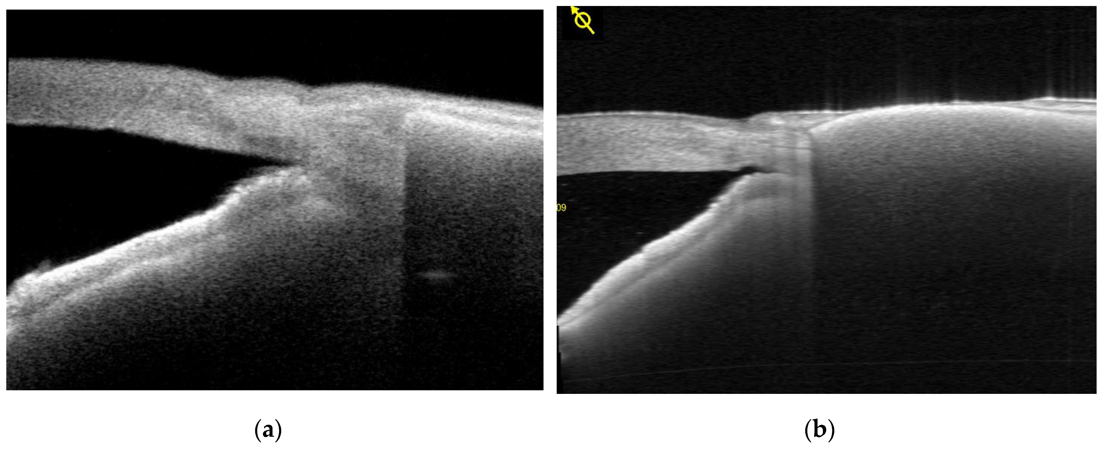 Preprints 201093 g008