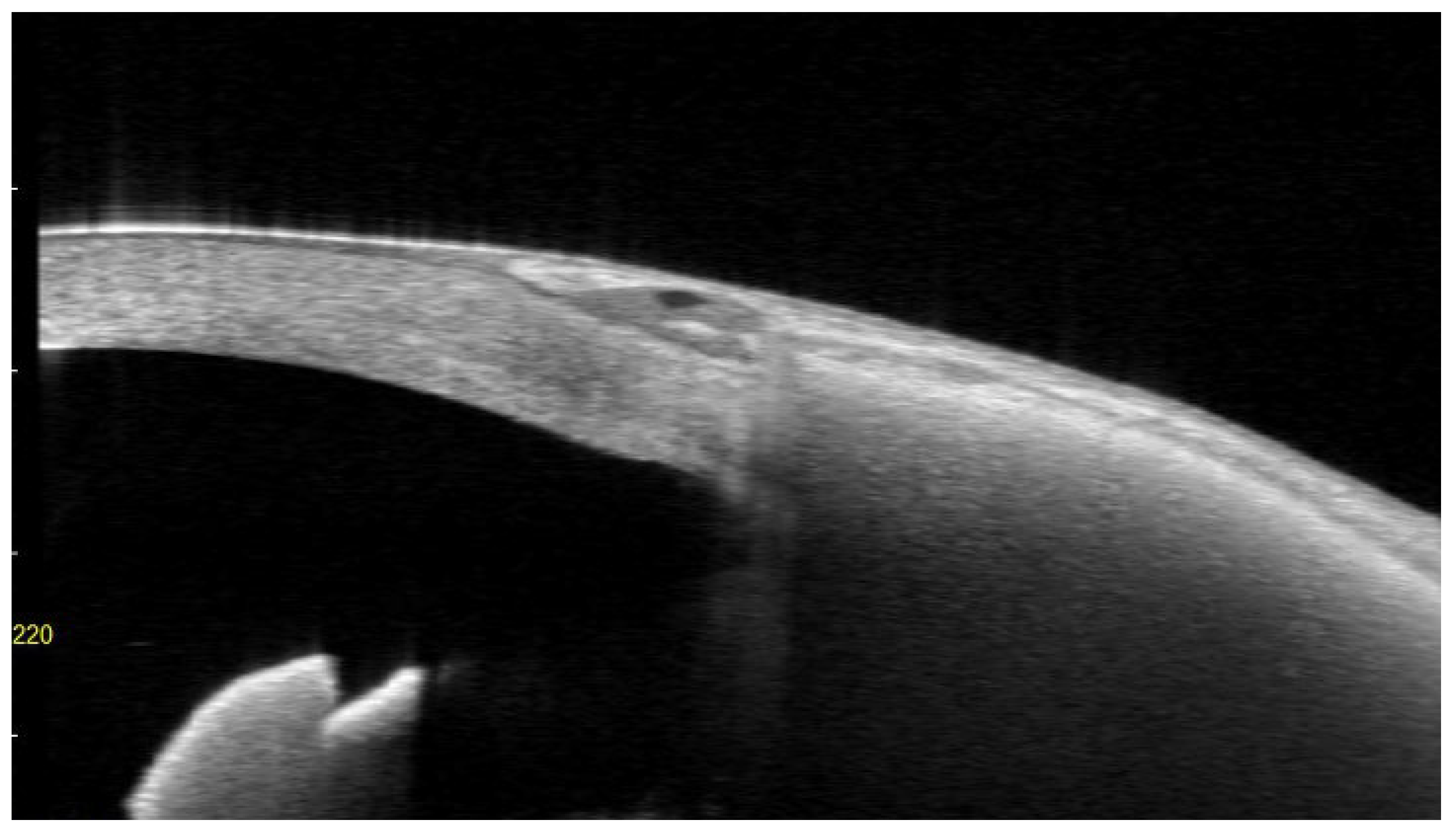 Preprints 201093 g009