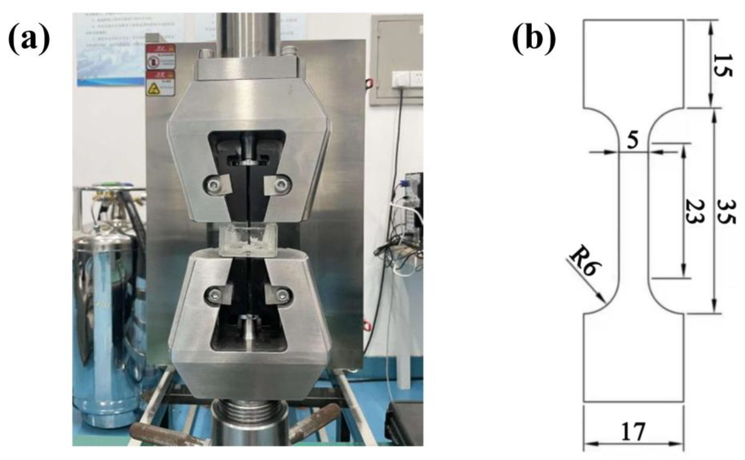 Preprints 156645 g002