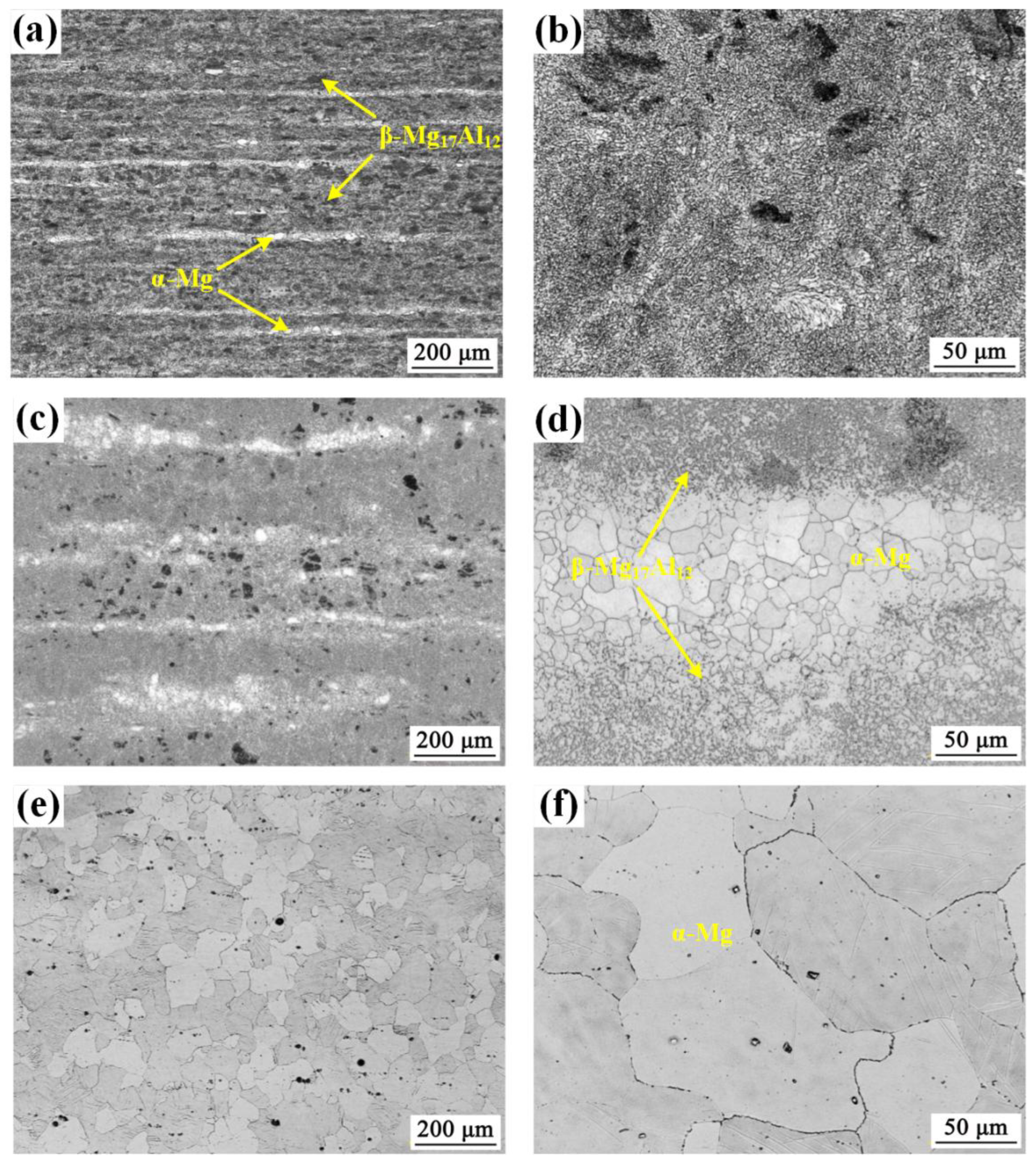 Preprints 156645 g004