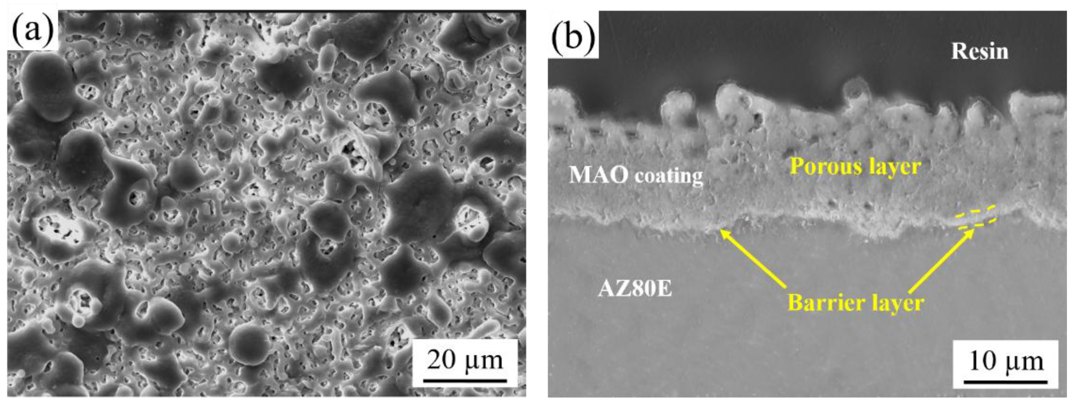 Preprints 156645 g006