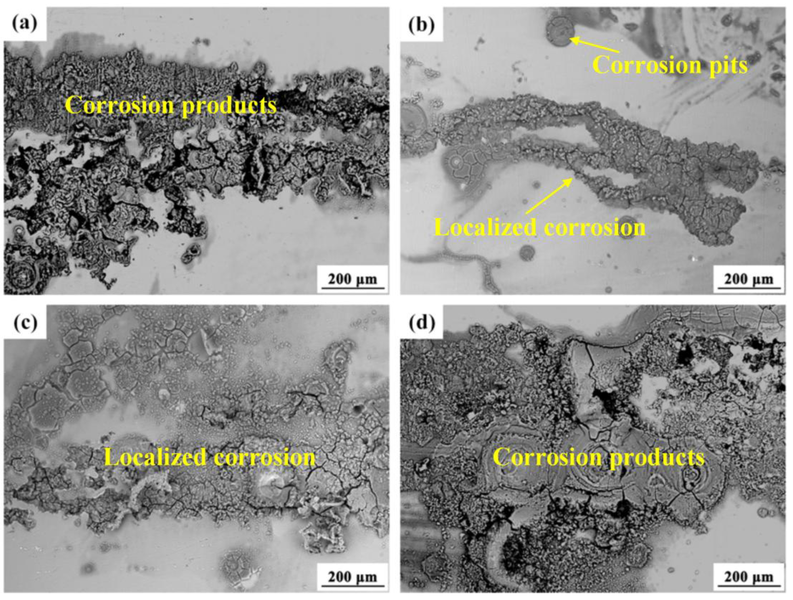 Preprints 156645 g009