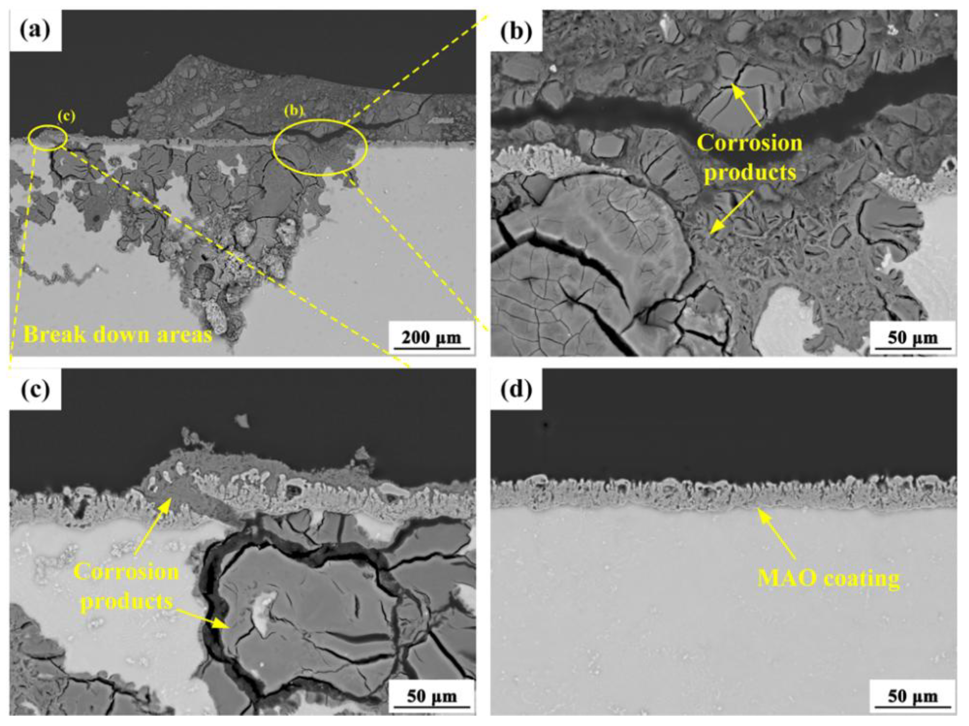 Preprints 156645 g010