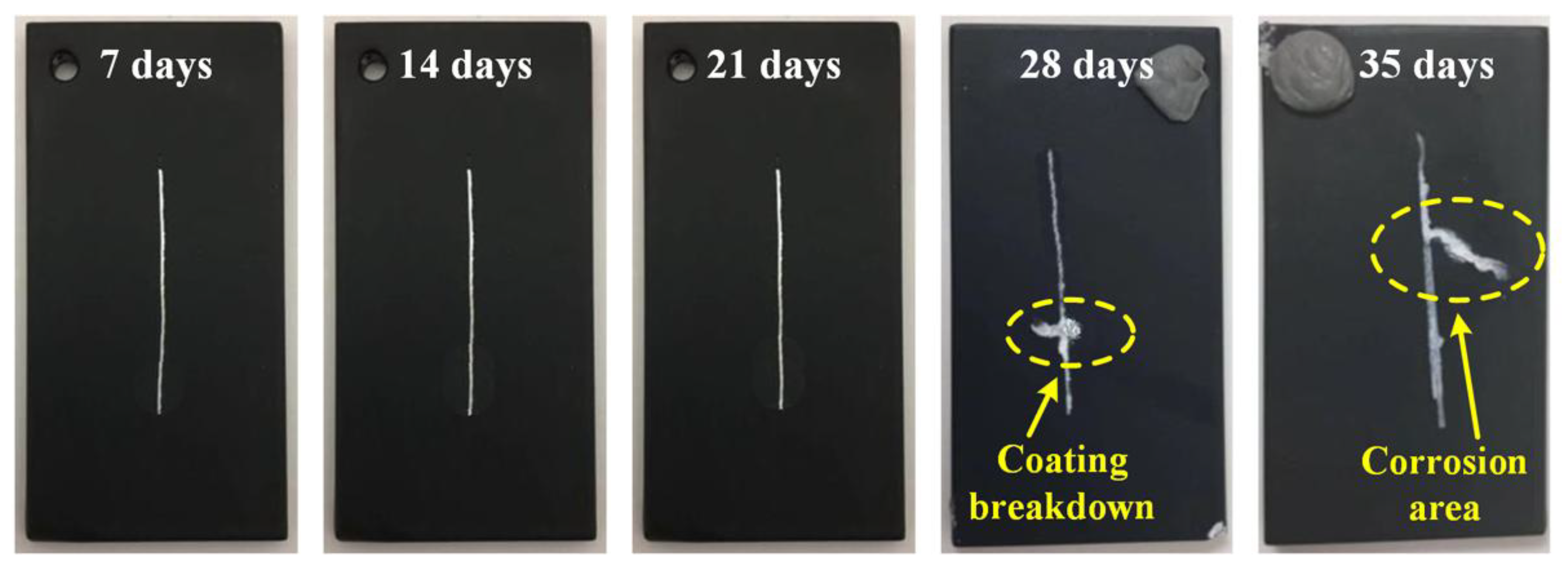 Preprints 156645 g012