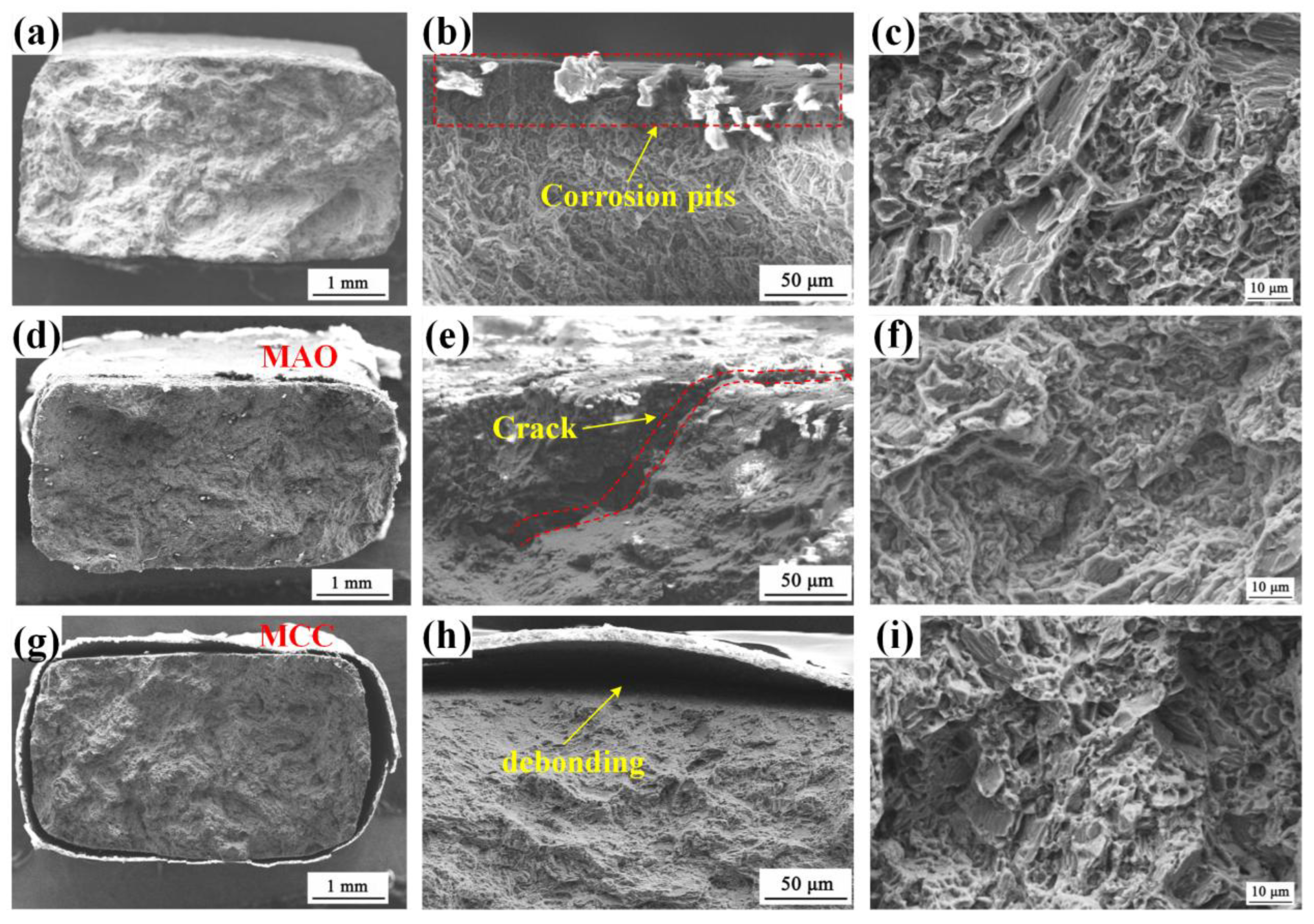 Preprints 156645 g014