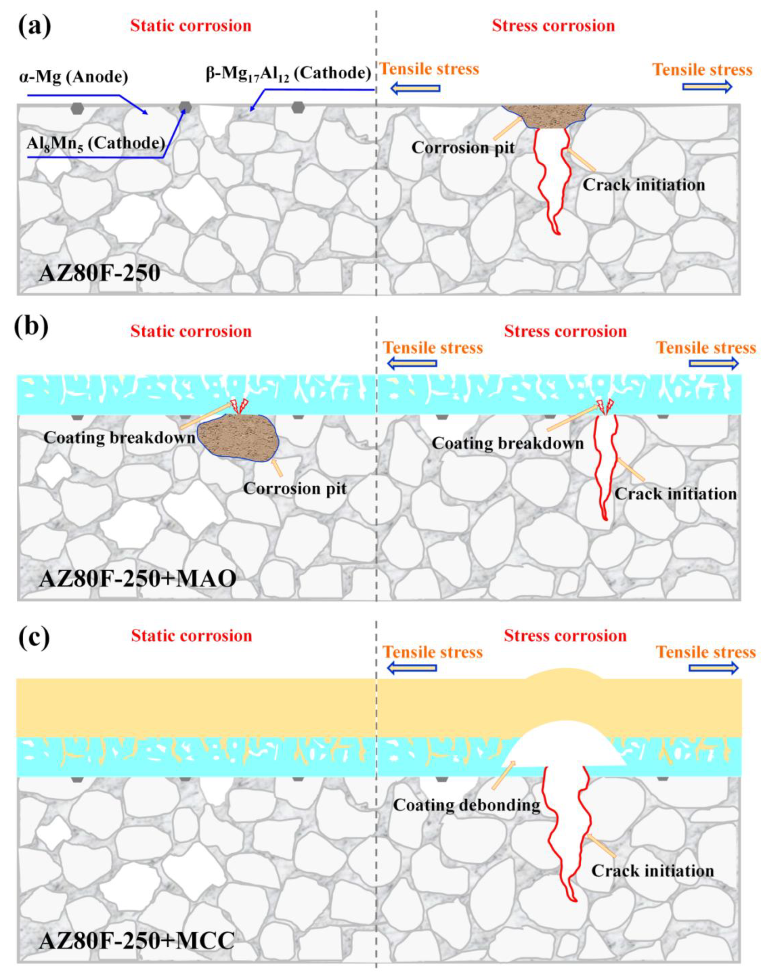 Preprints 156645 g015