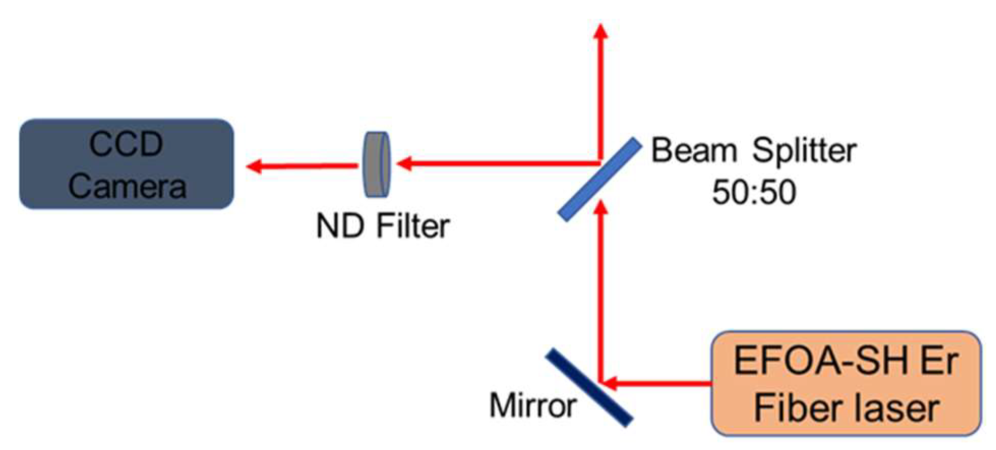 Preprints 156997 g001
