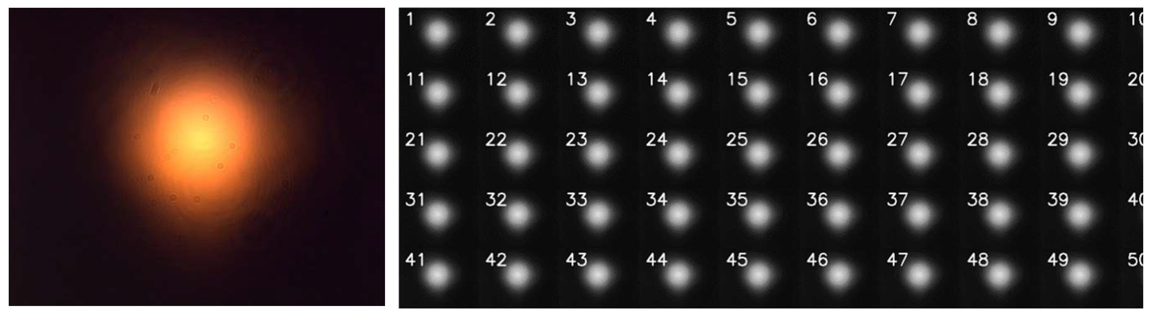 Preprints 156997 g002