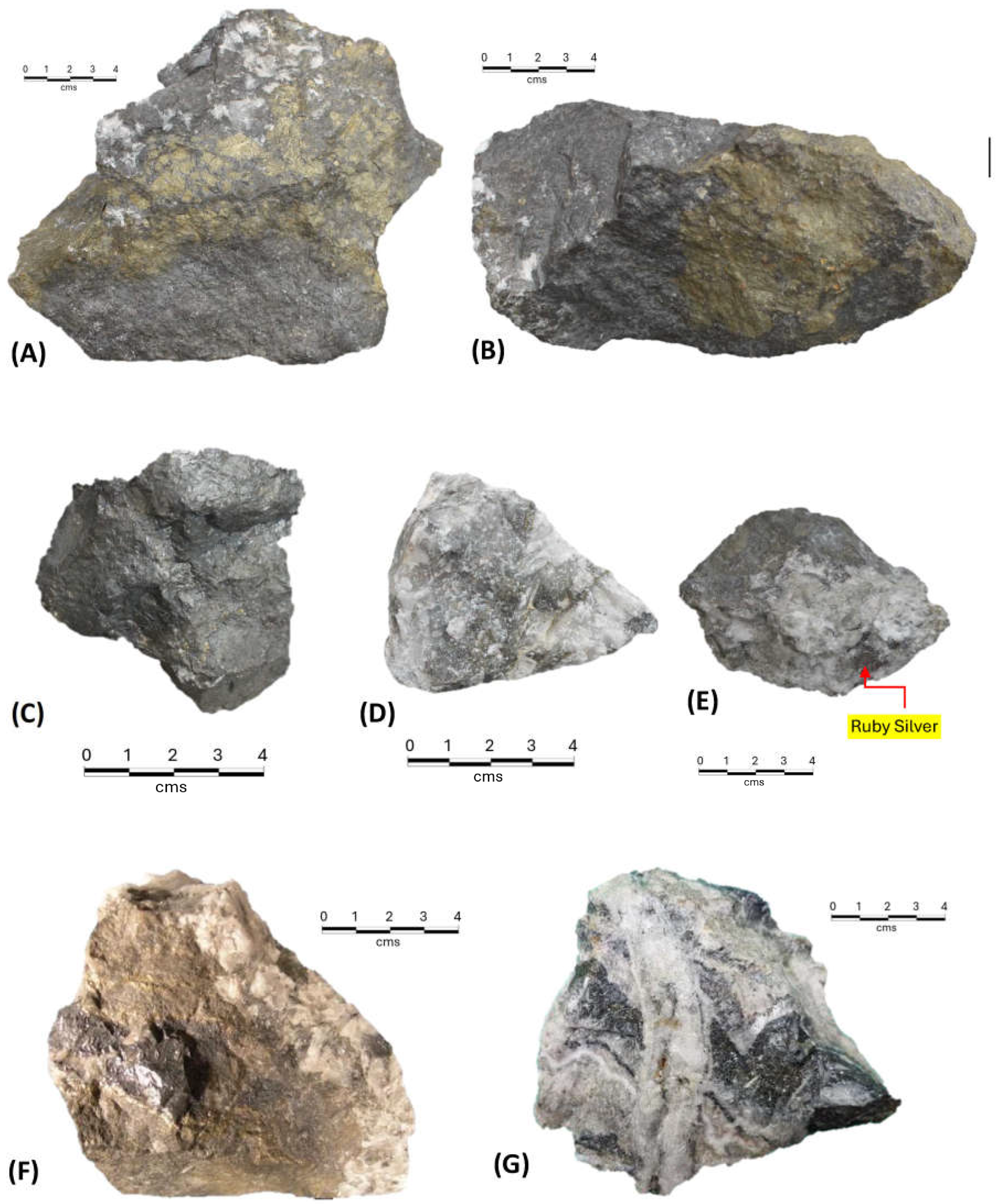 Preprints 155882 g006