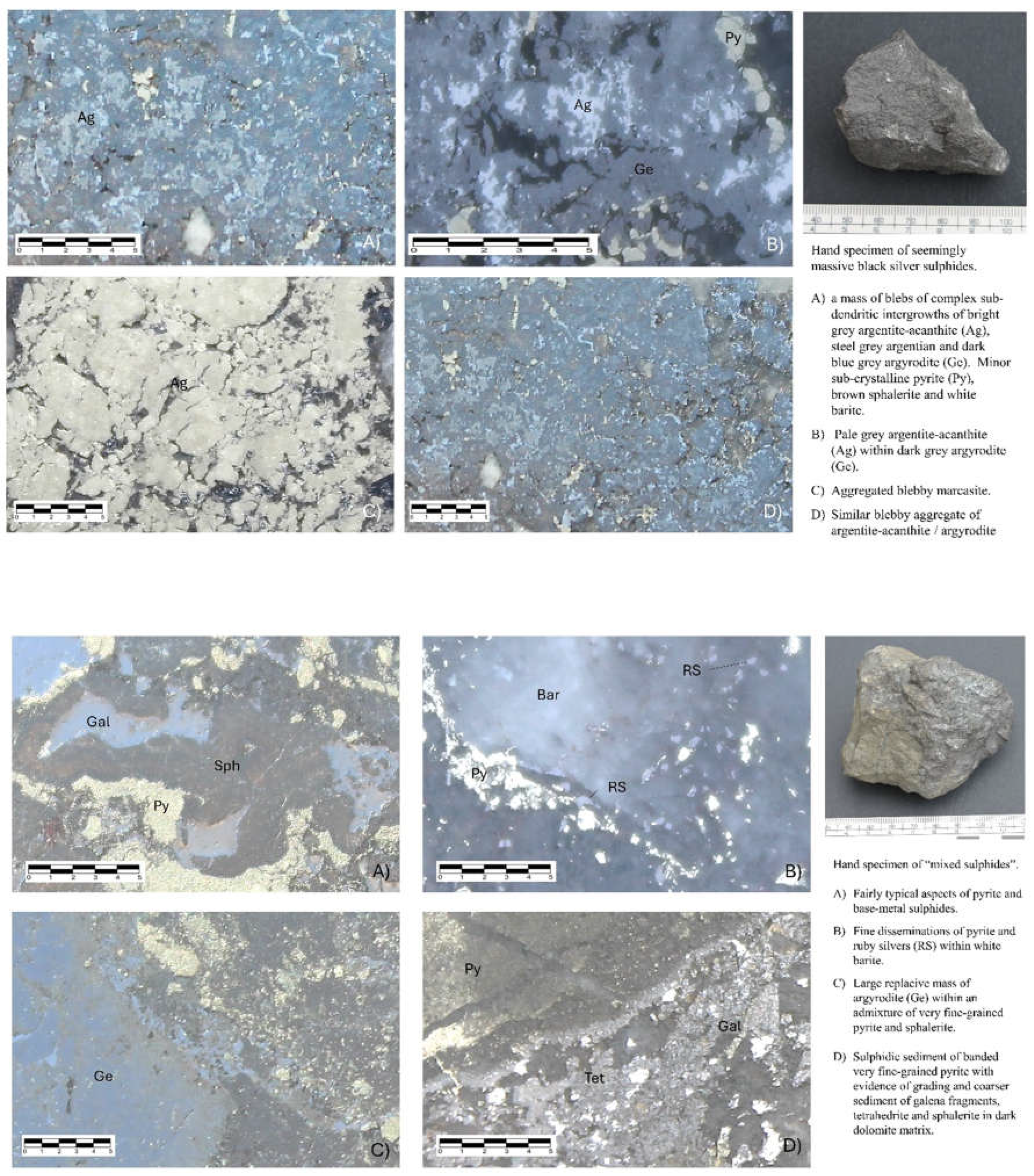 Preprints 155882 g013b