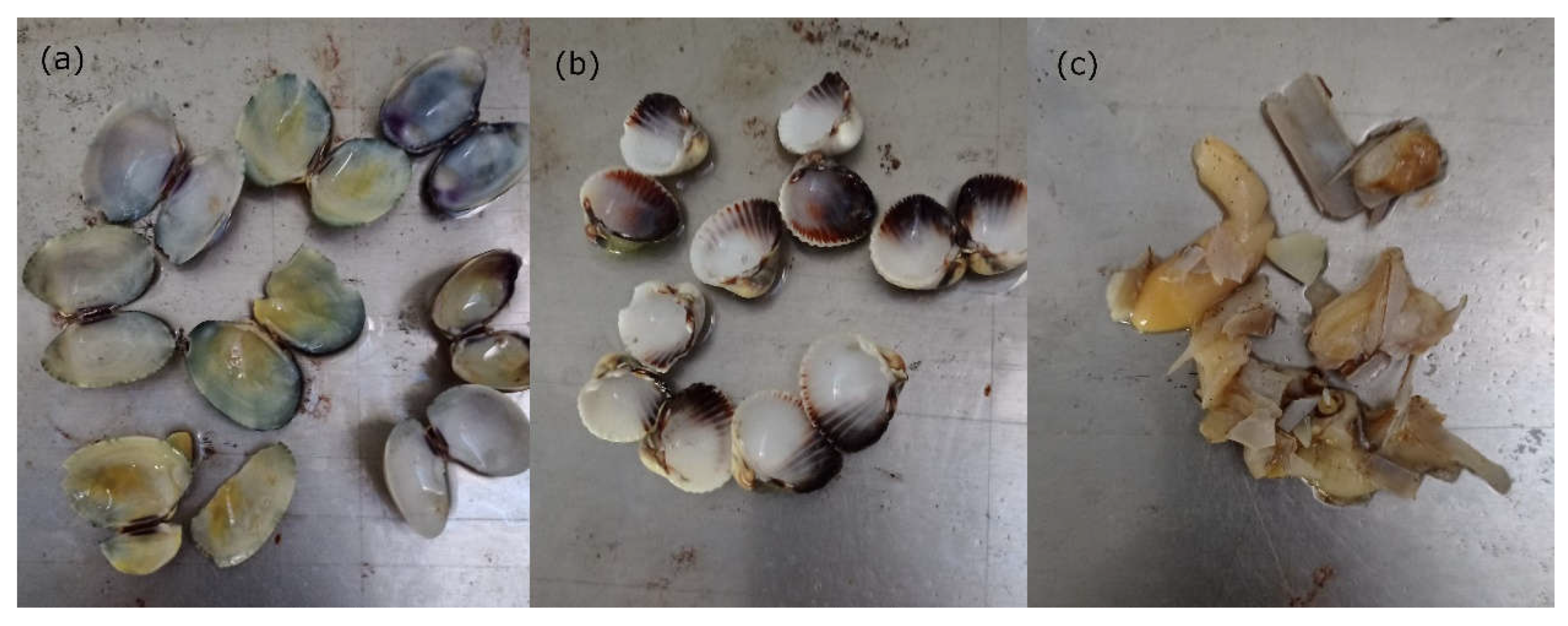 Preprints 105465 g001