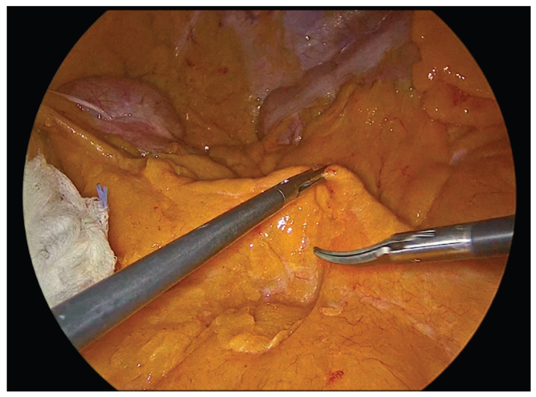 Preprints 195043 g001