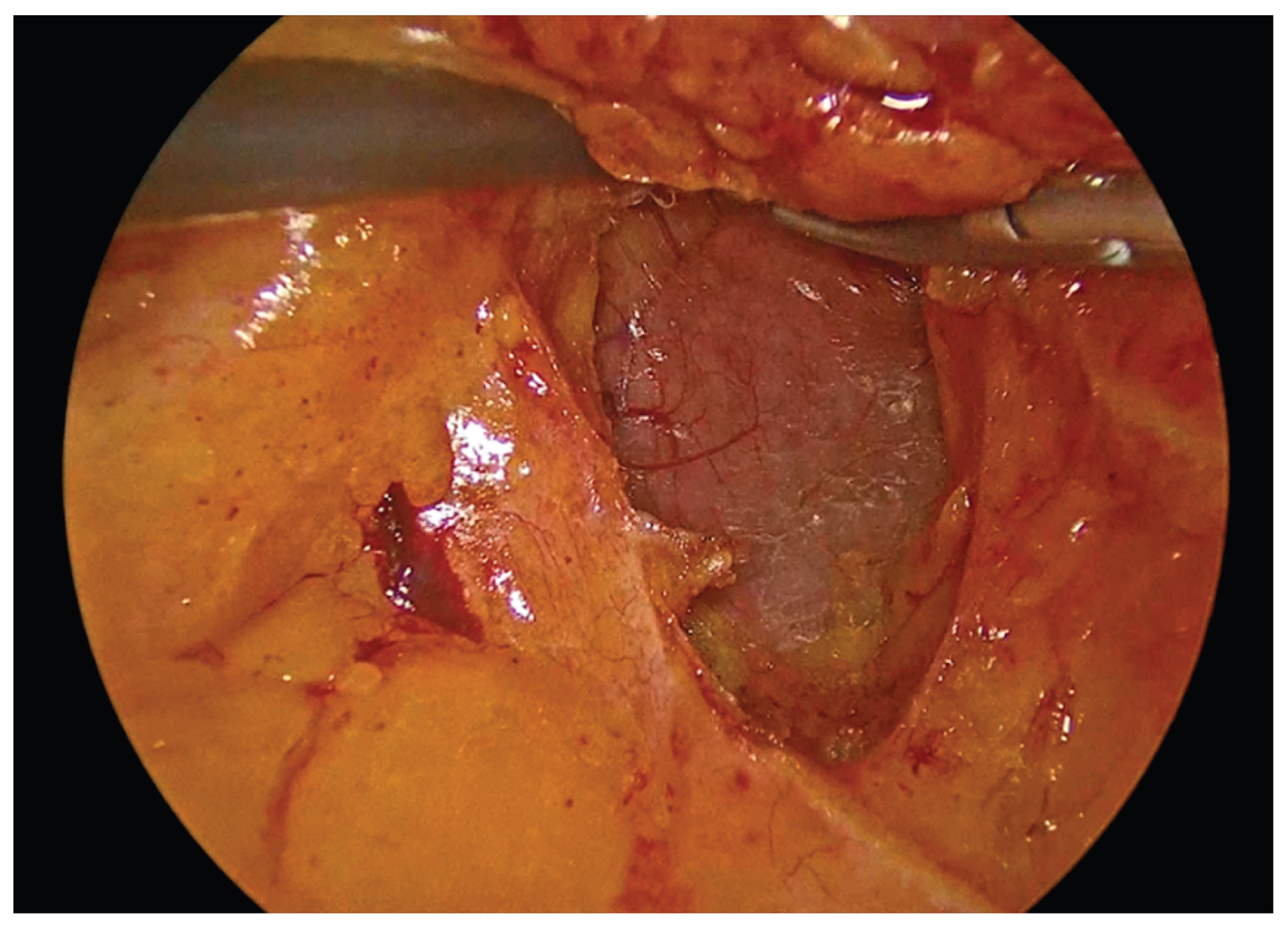 Preprints 195043 g002