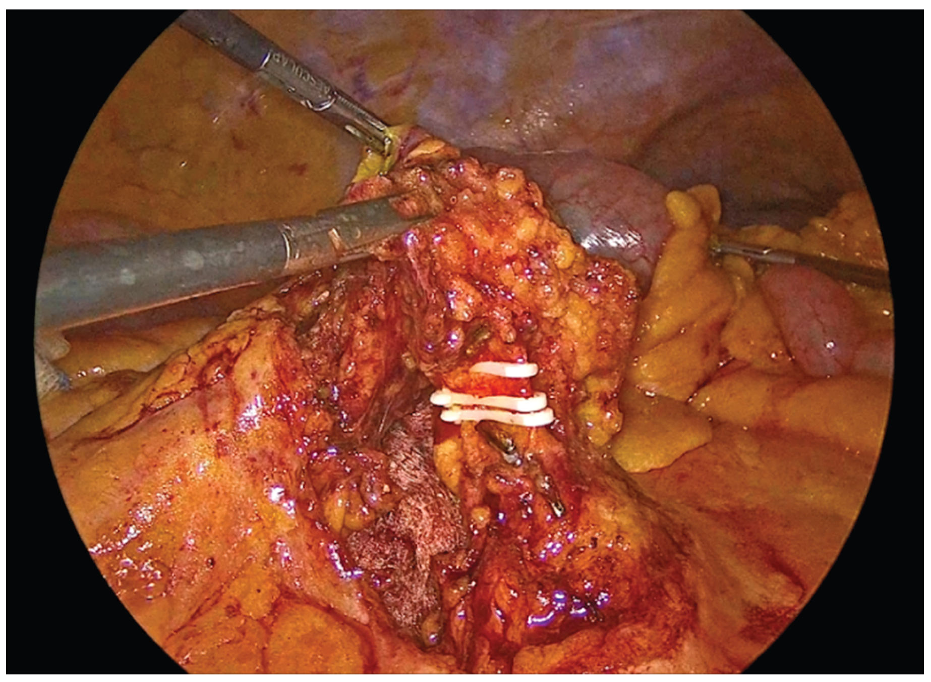 Preprints 195043 g003