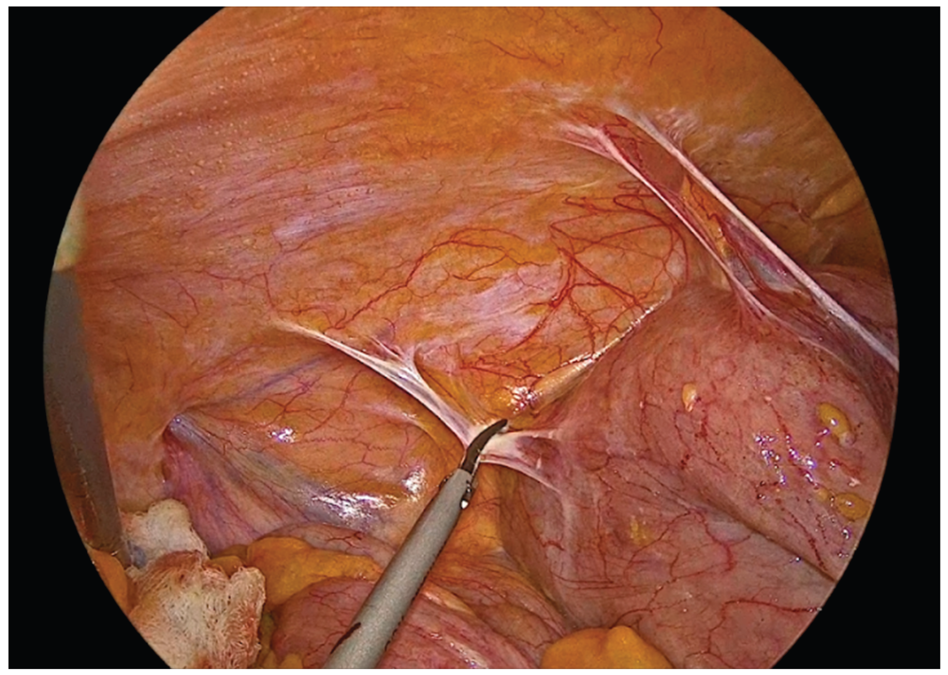 Preprints 195043 g004