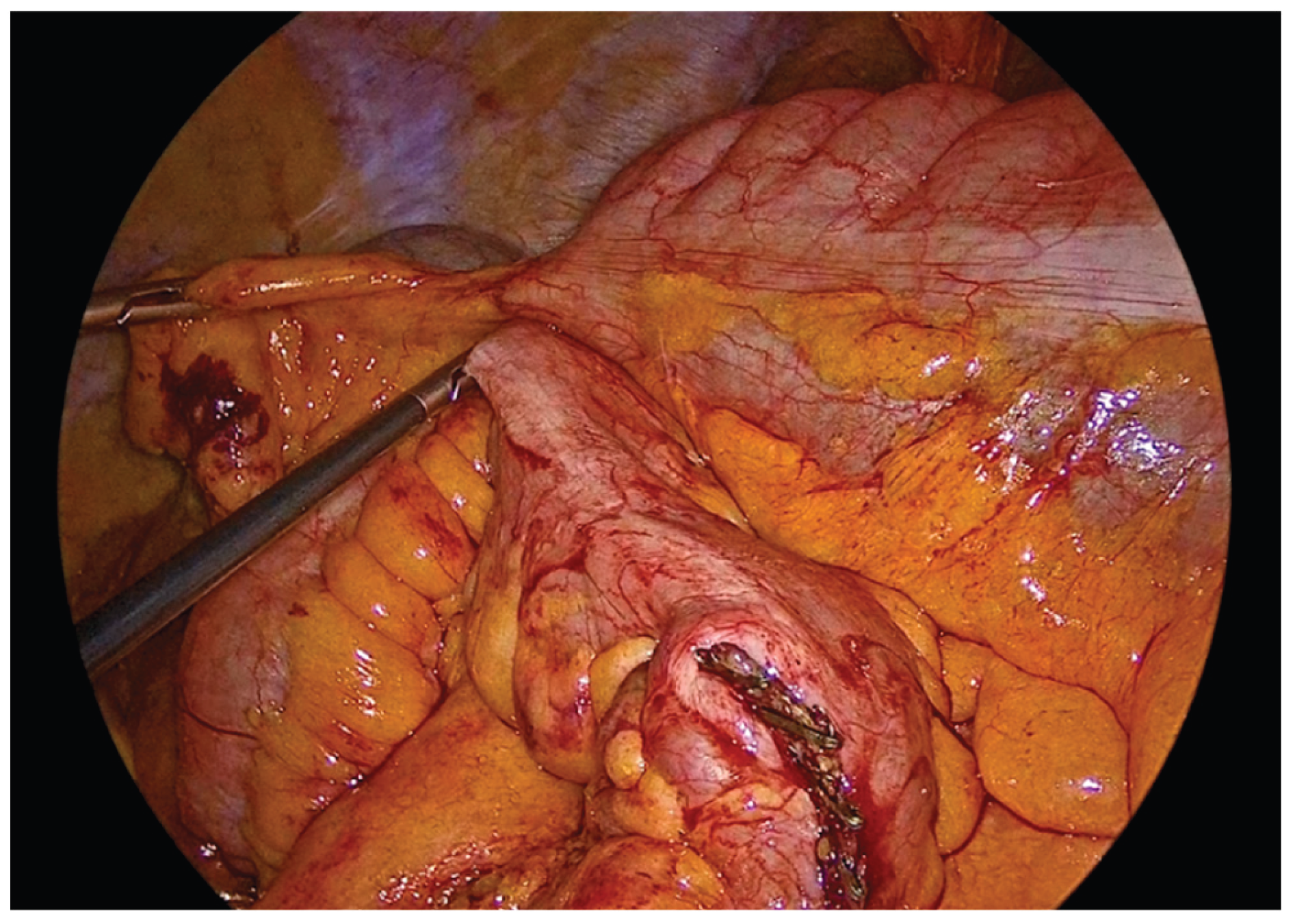 Preprints 195043 g005