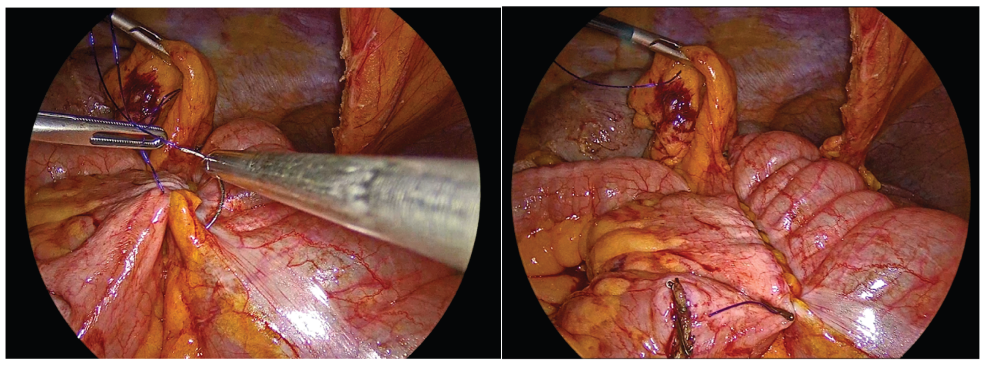 Preprints 195043 g006