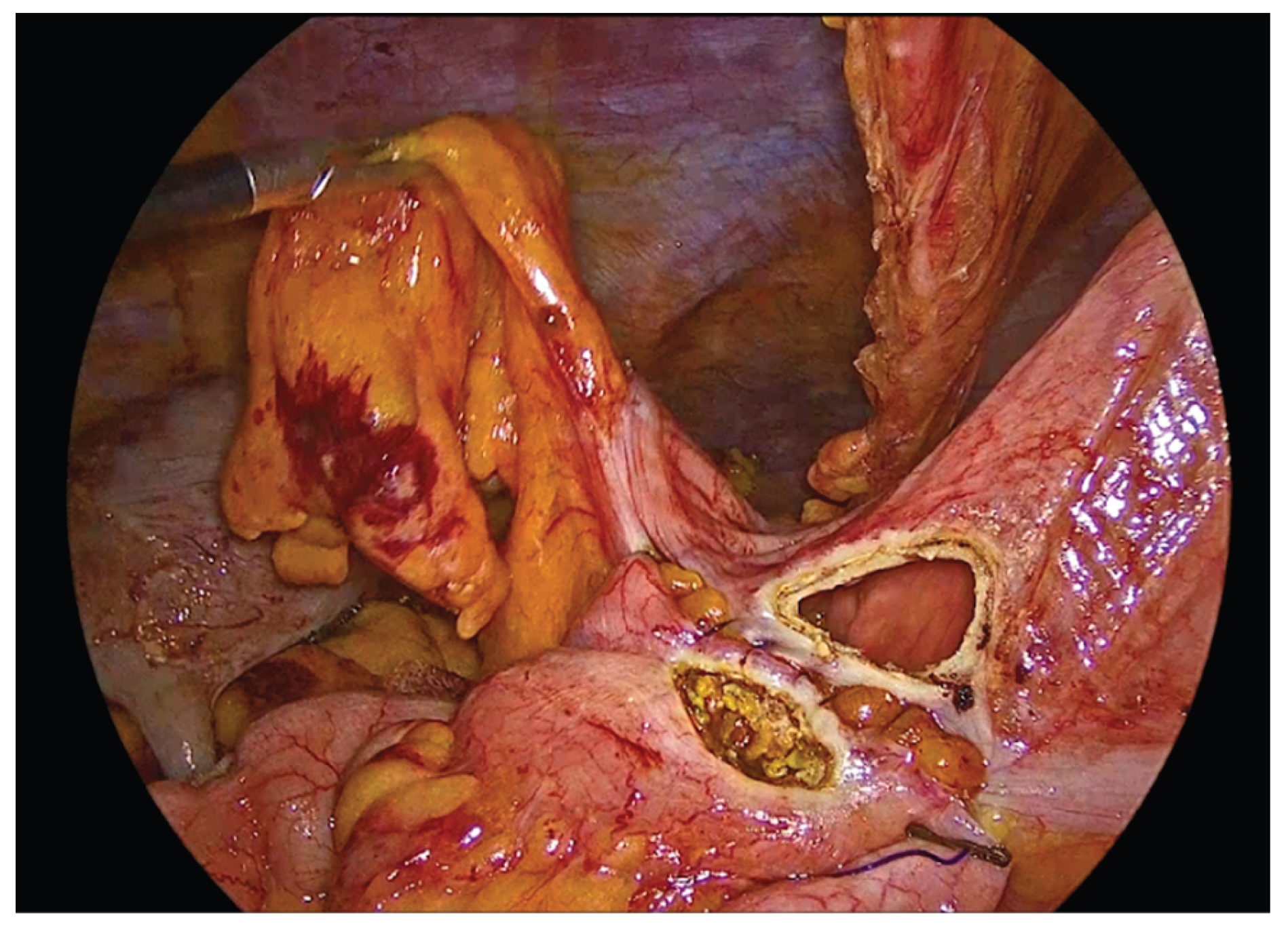 Preprints 195043 g007