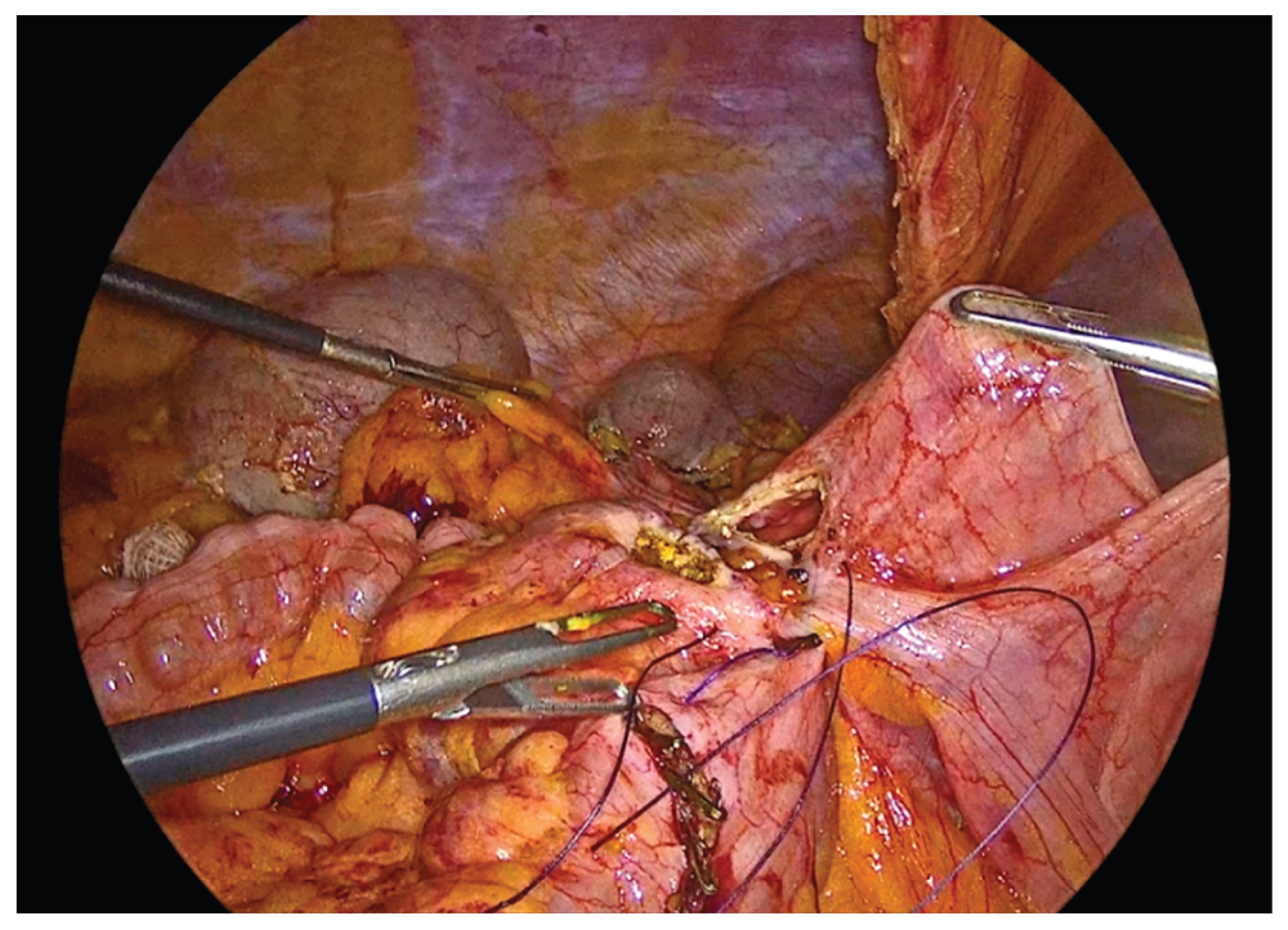 Preprints 195043 g008