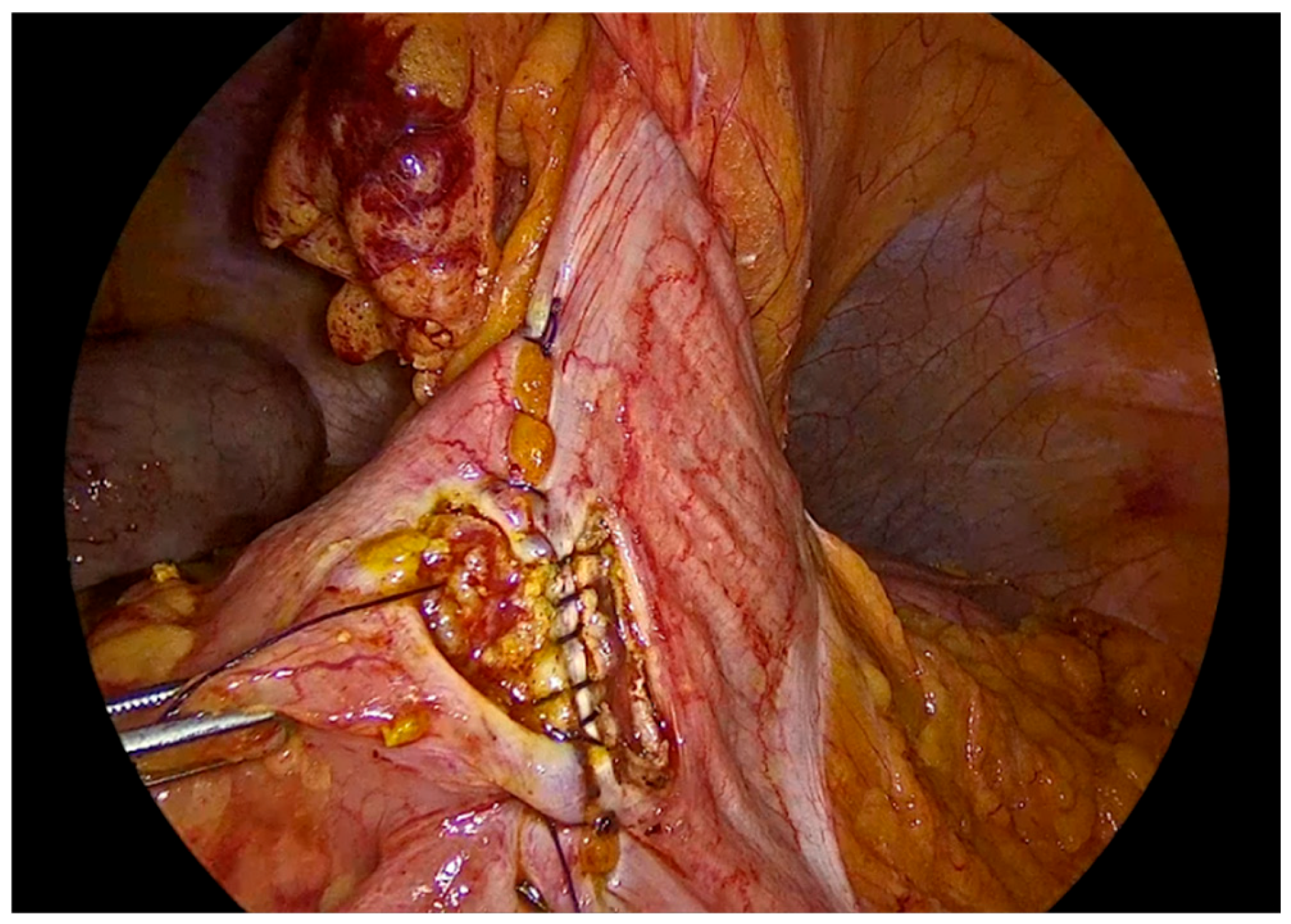 Preprints 195043 g009