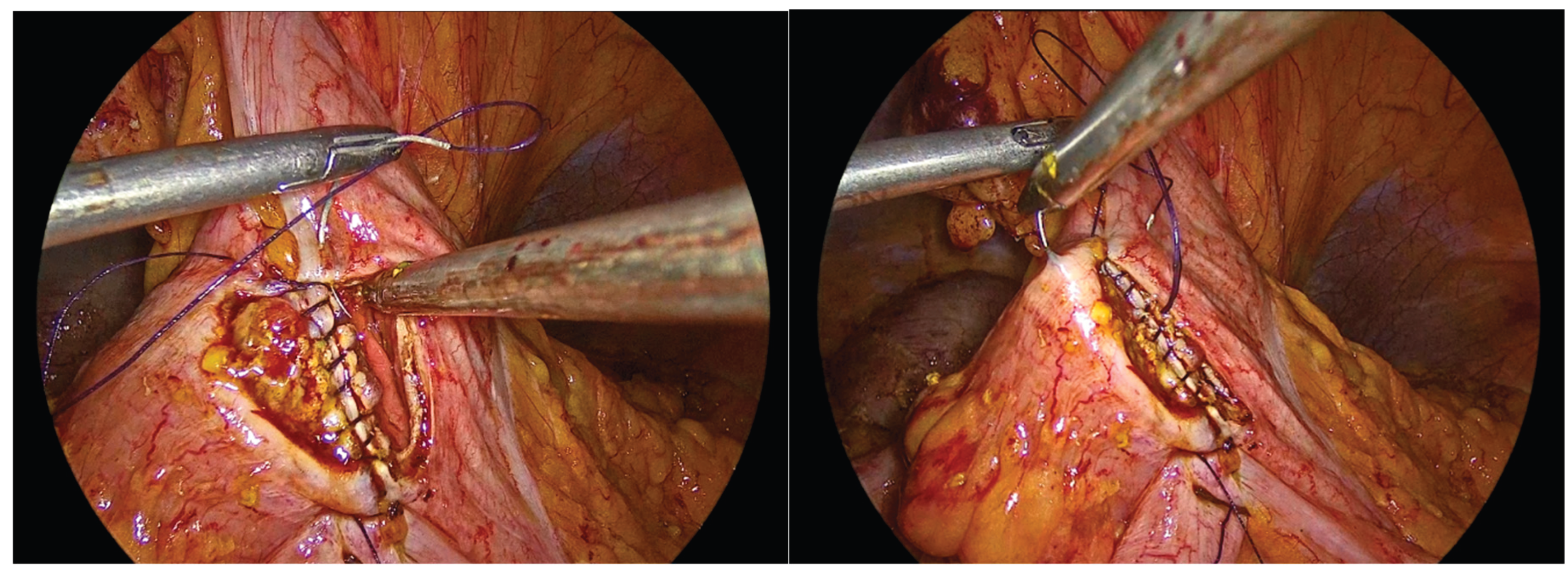 Preprints 195043 g010