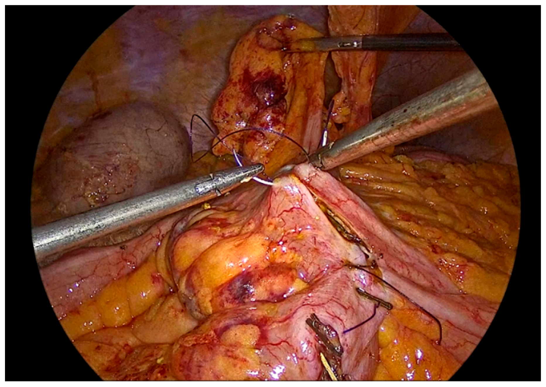 Preprints 195043 g011