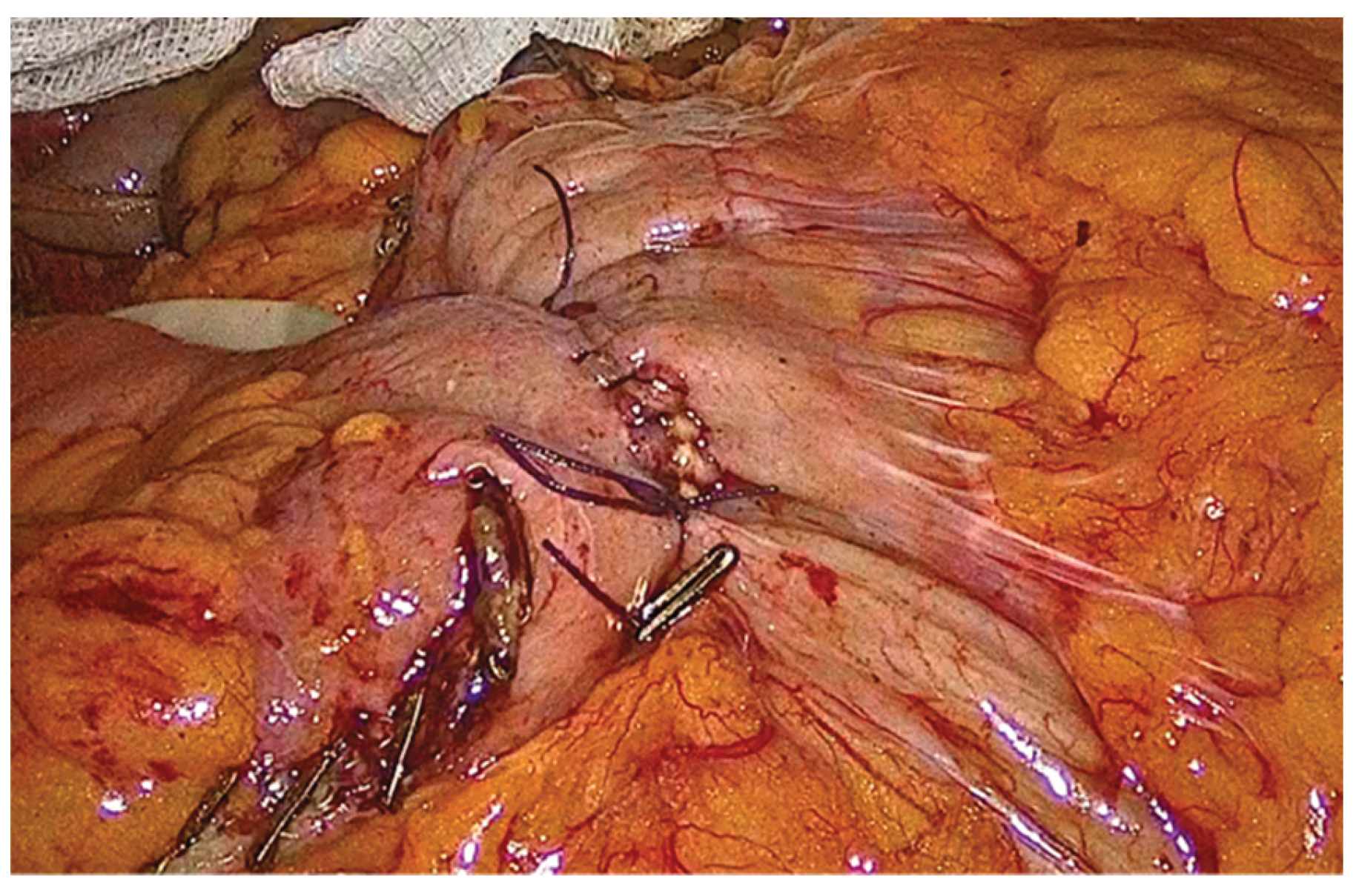 Preprints 195043 g012