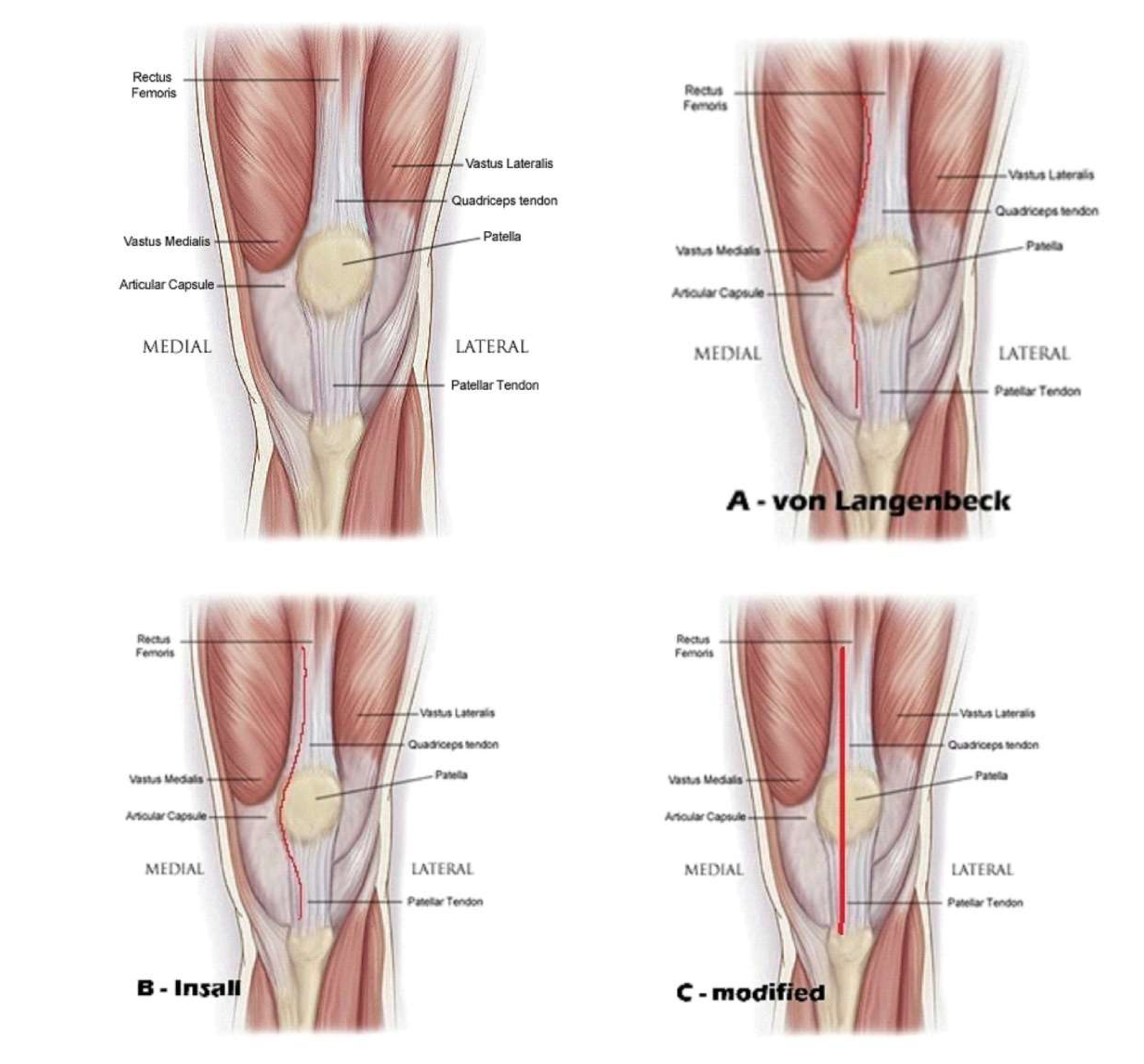 Preprints 158806 g001