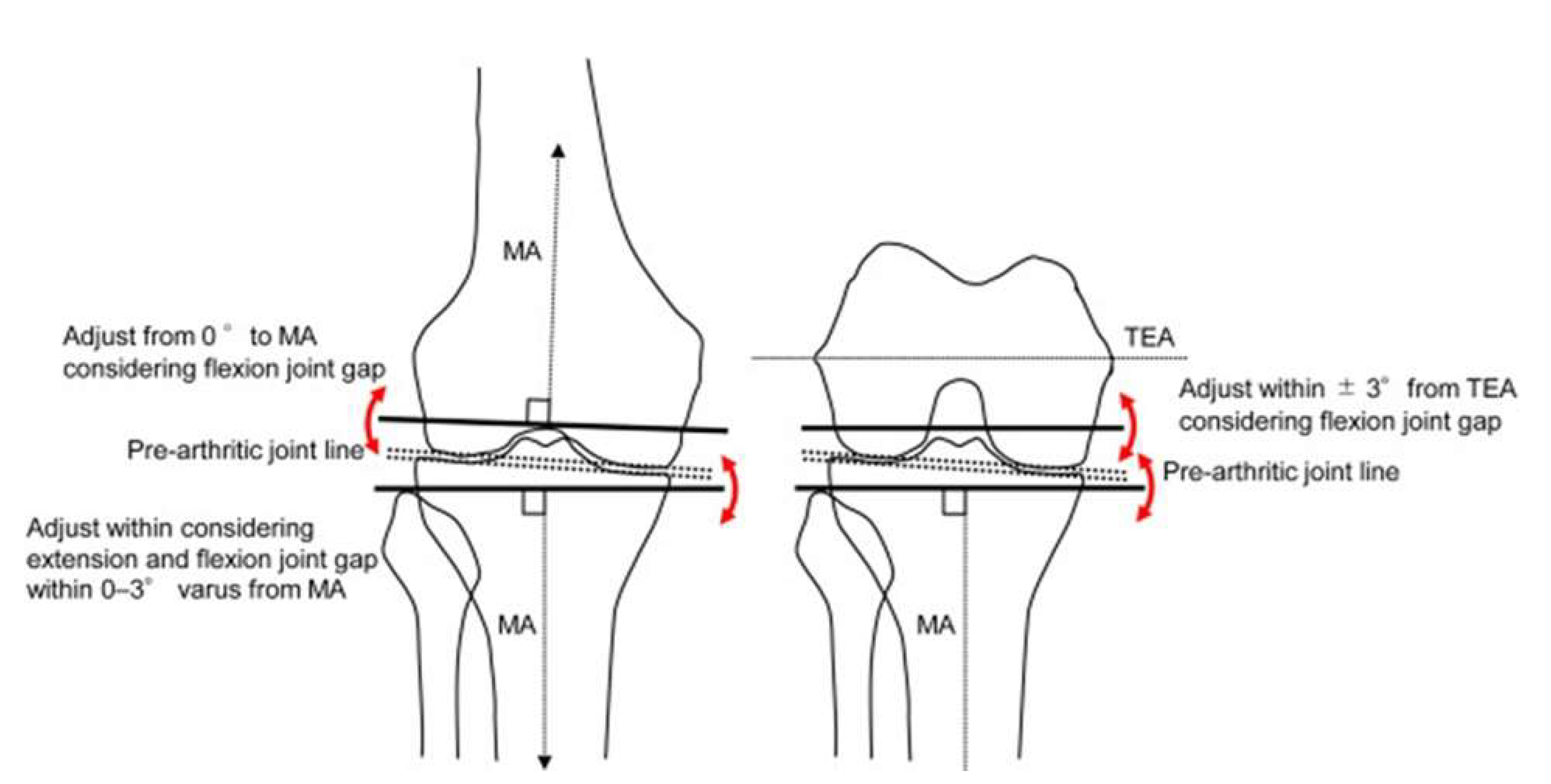 Preprints 158806 g003