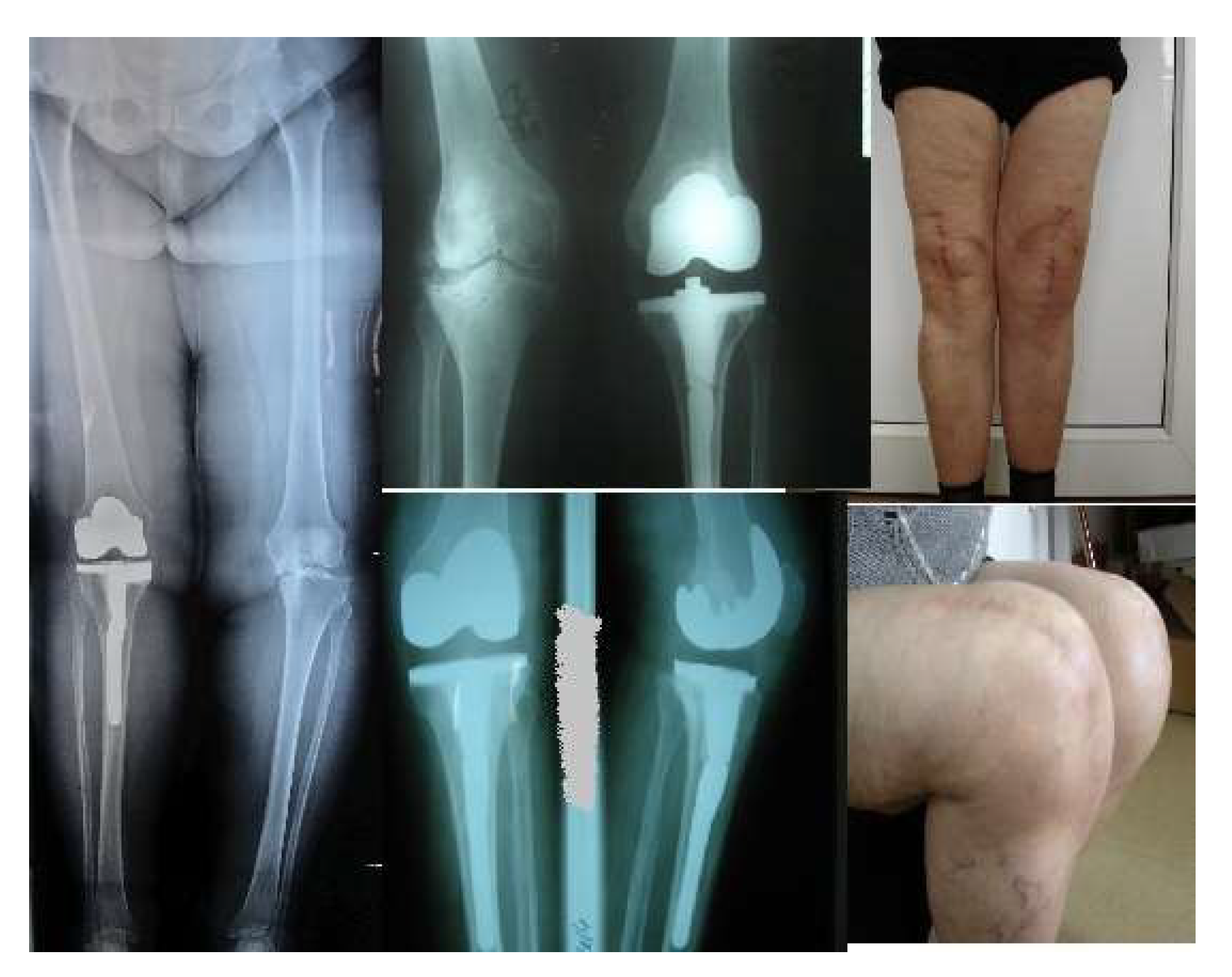 Preprints 158806 g005