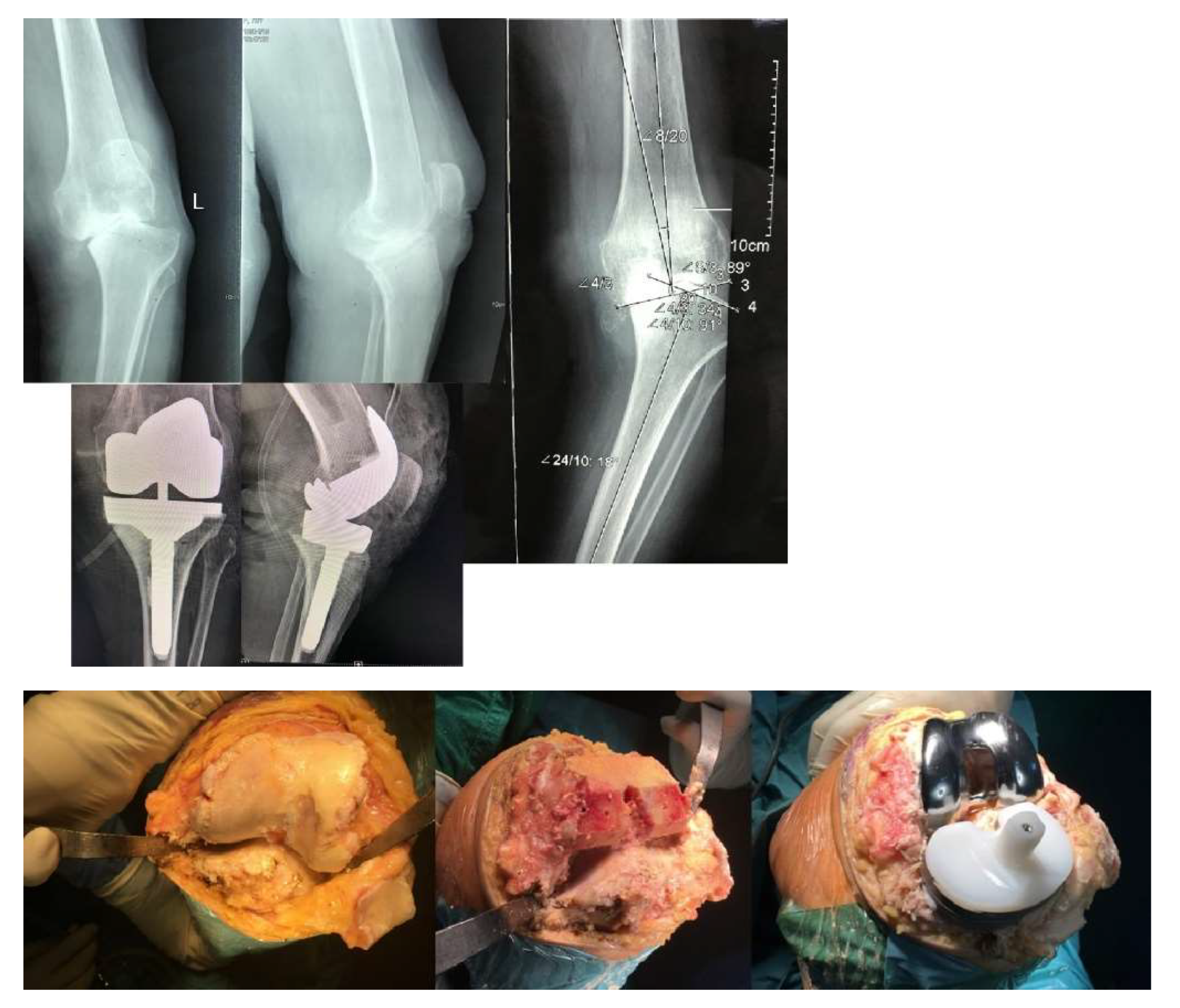 Preprints 158806 g006