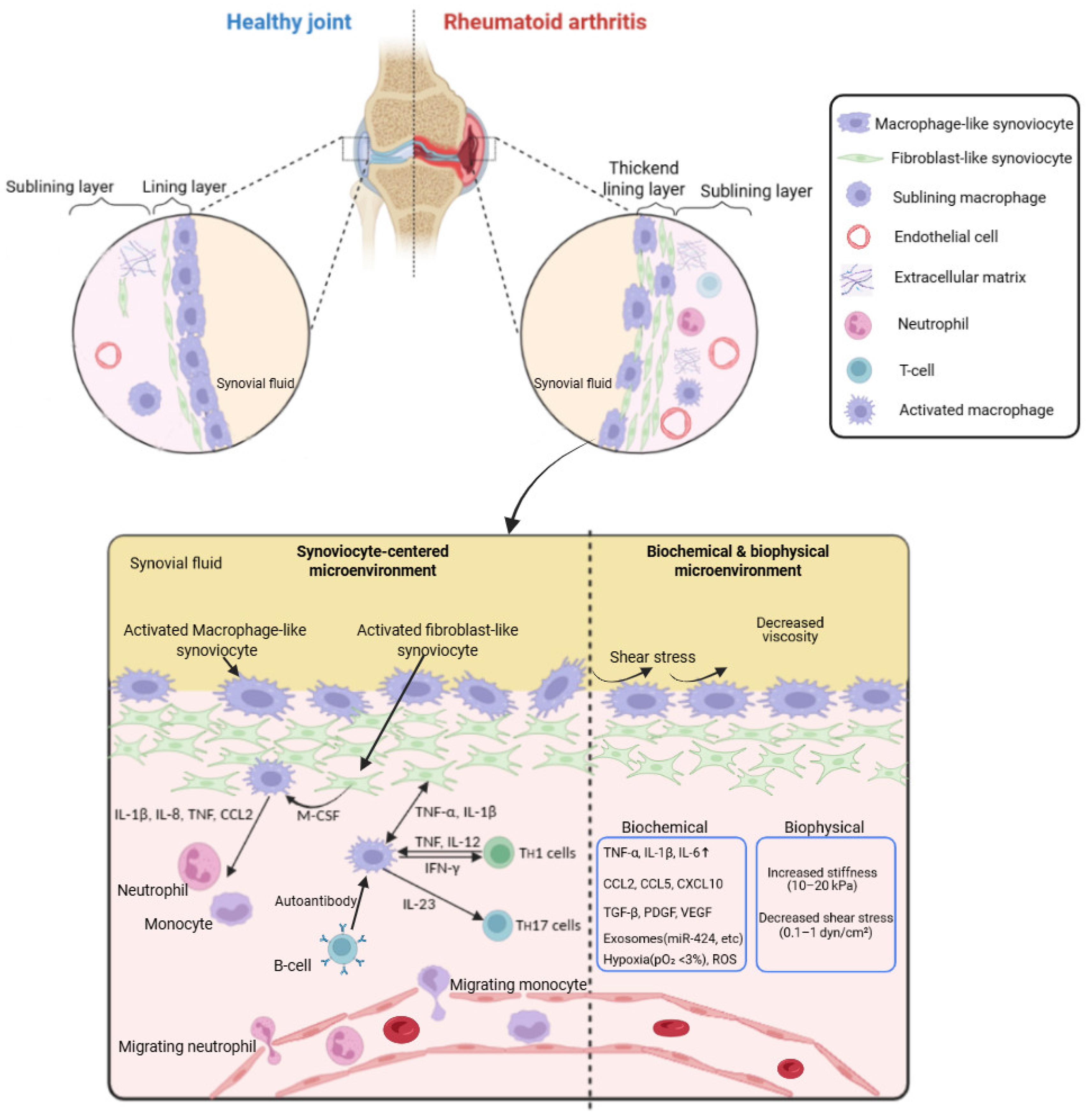 Preprints 174143 g001