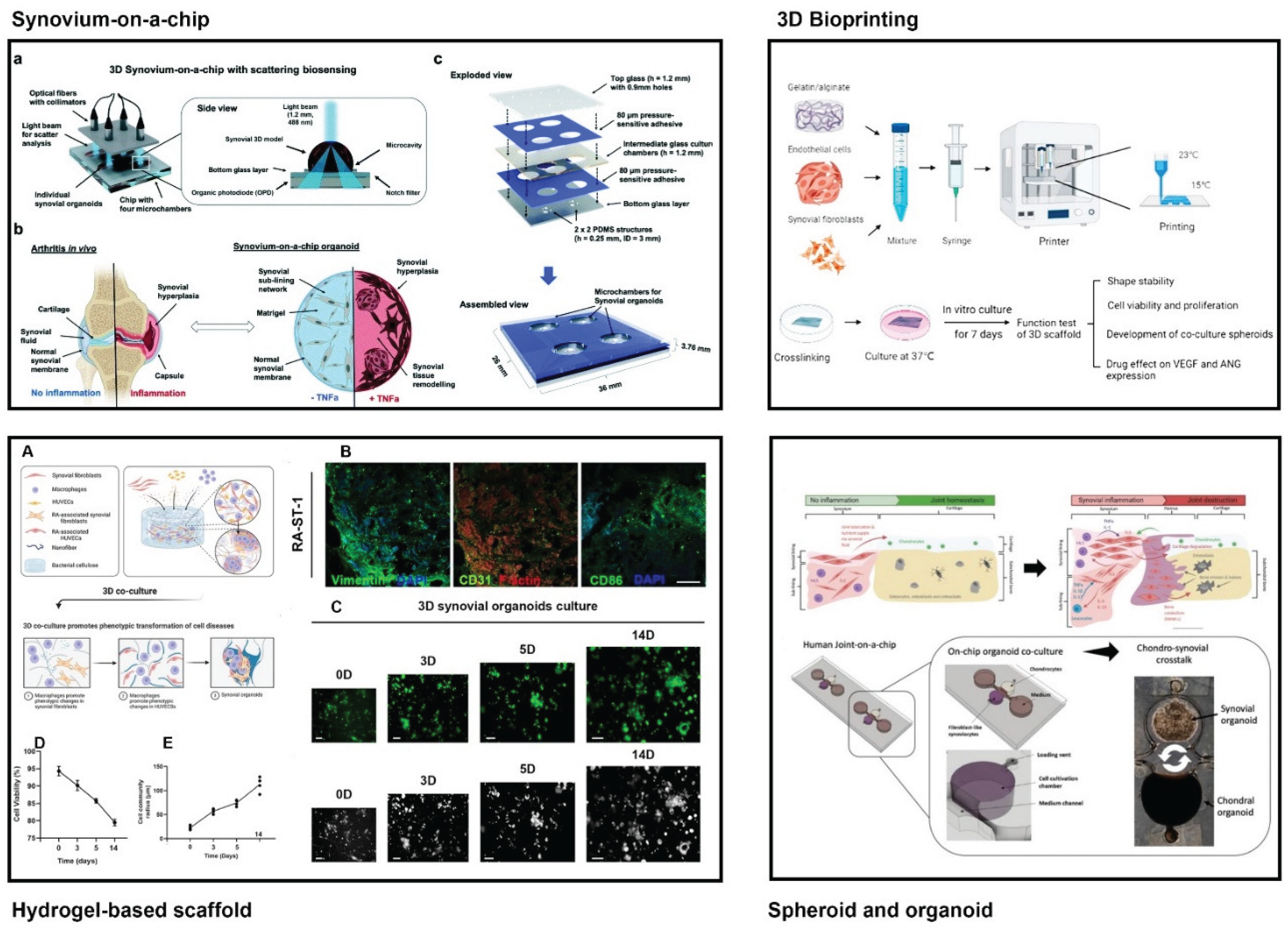Preprints 174143 g002