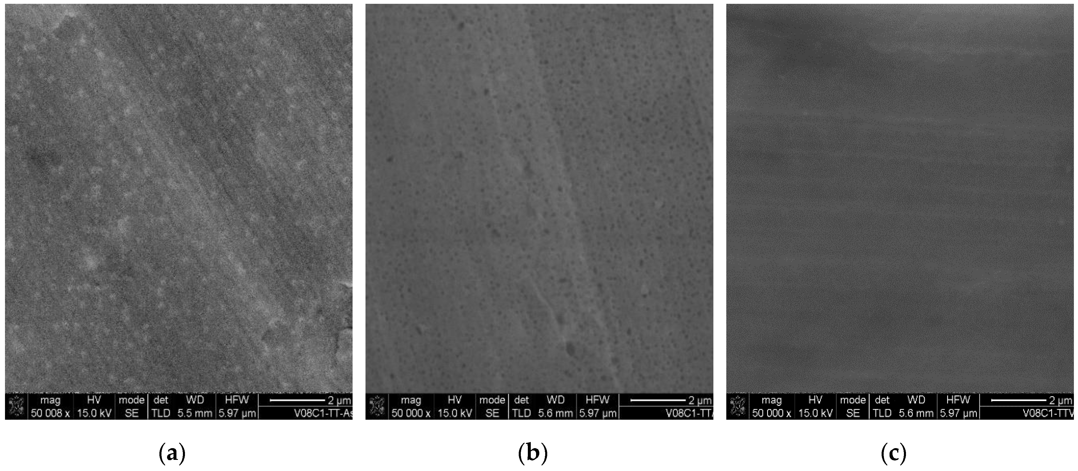 Preprints 197180 g004
