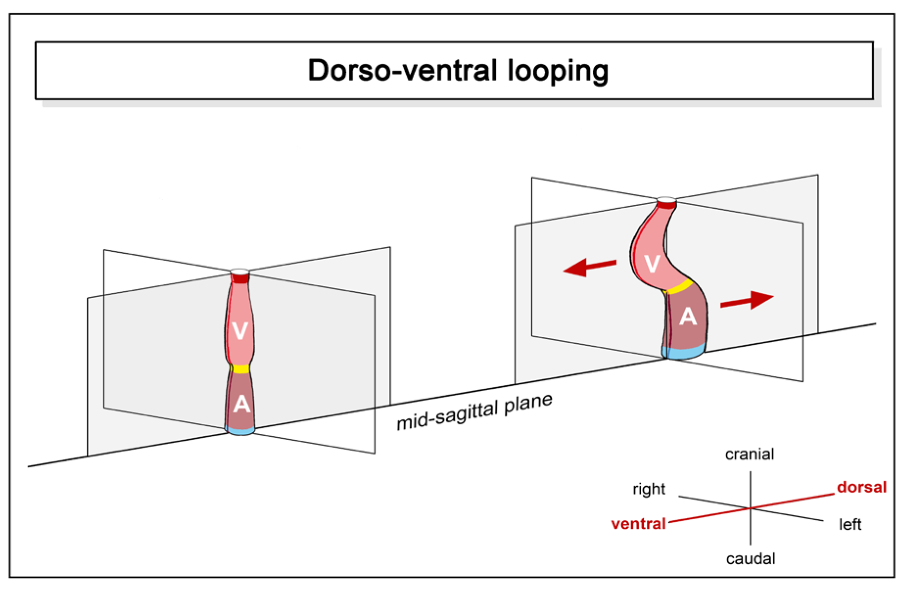 Preprints 111885 g002