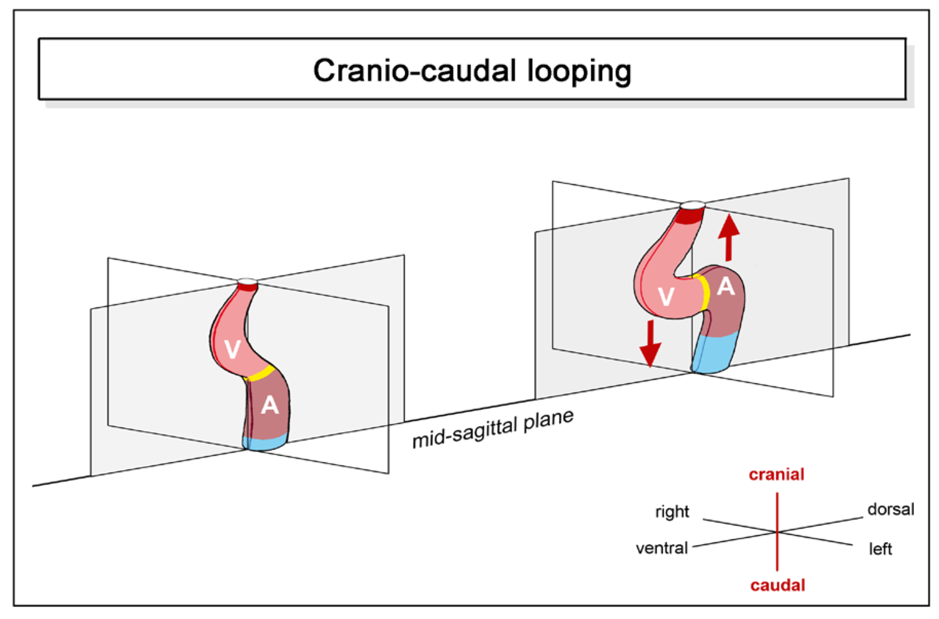Preprints 111885 g003