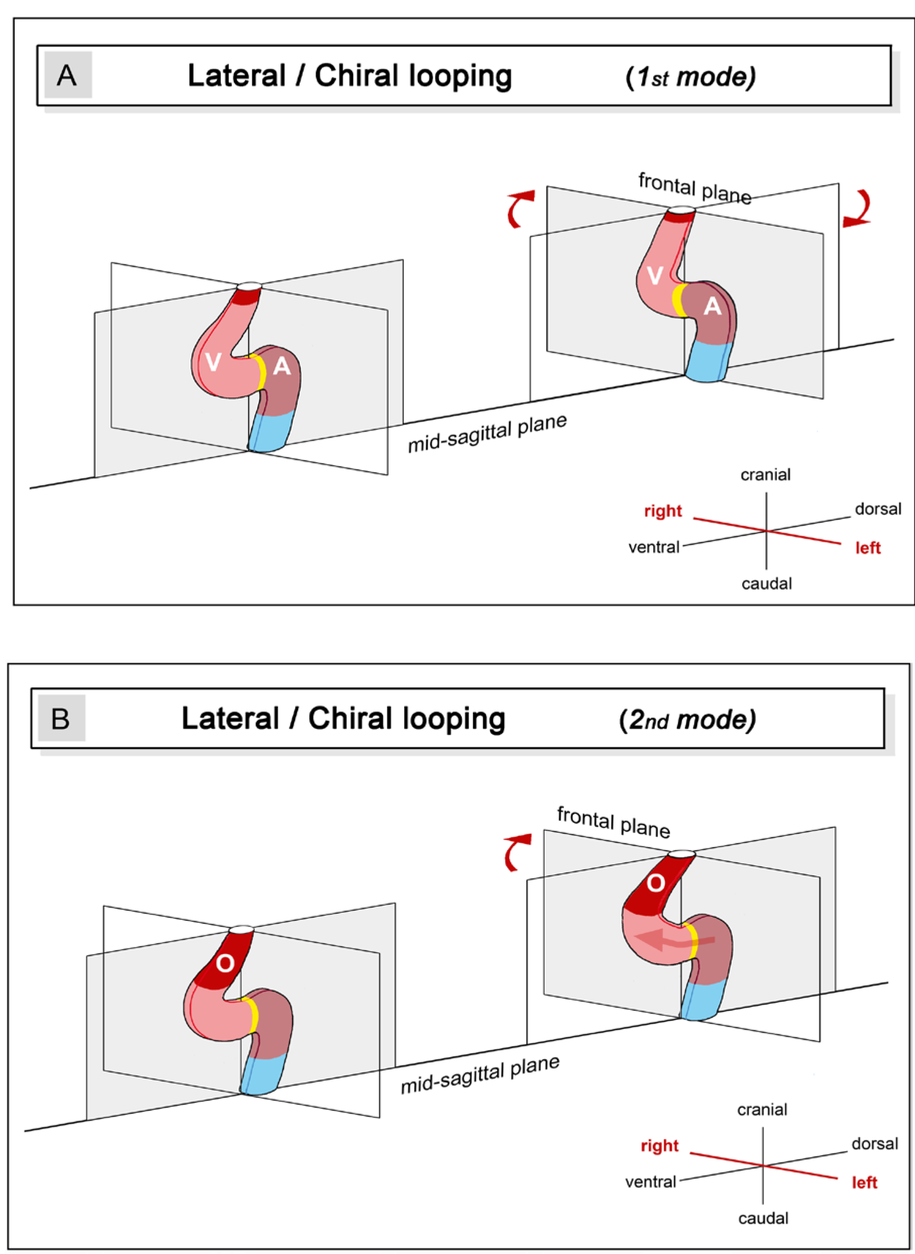 Preprints 111885 g004
