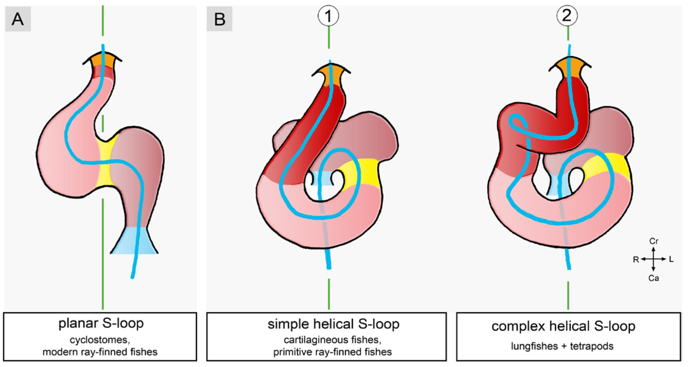 Preprints 111885 g005
