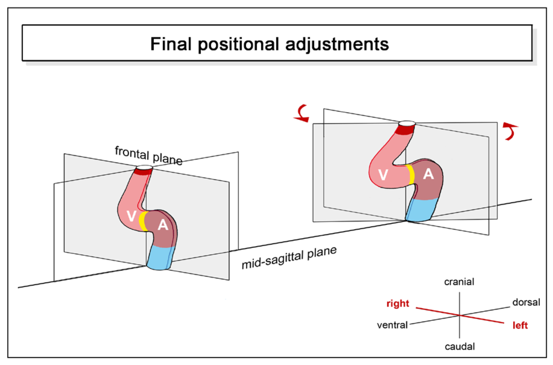 Preprints 111885 g006