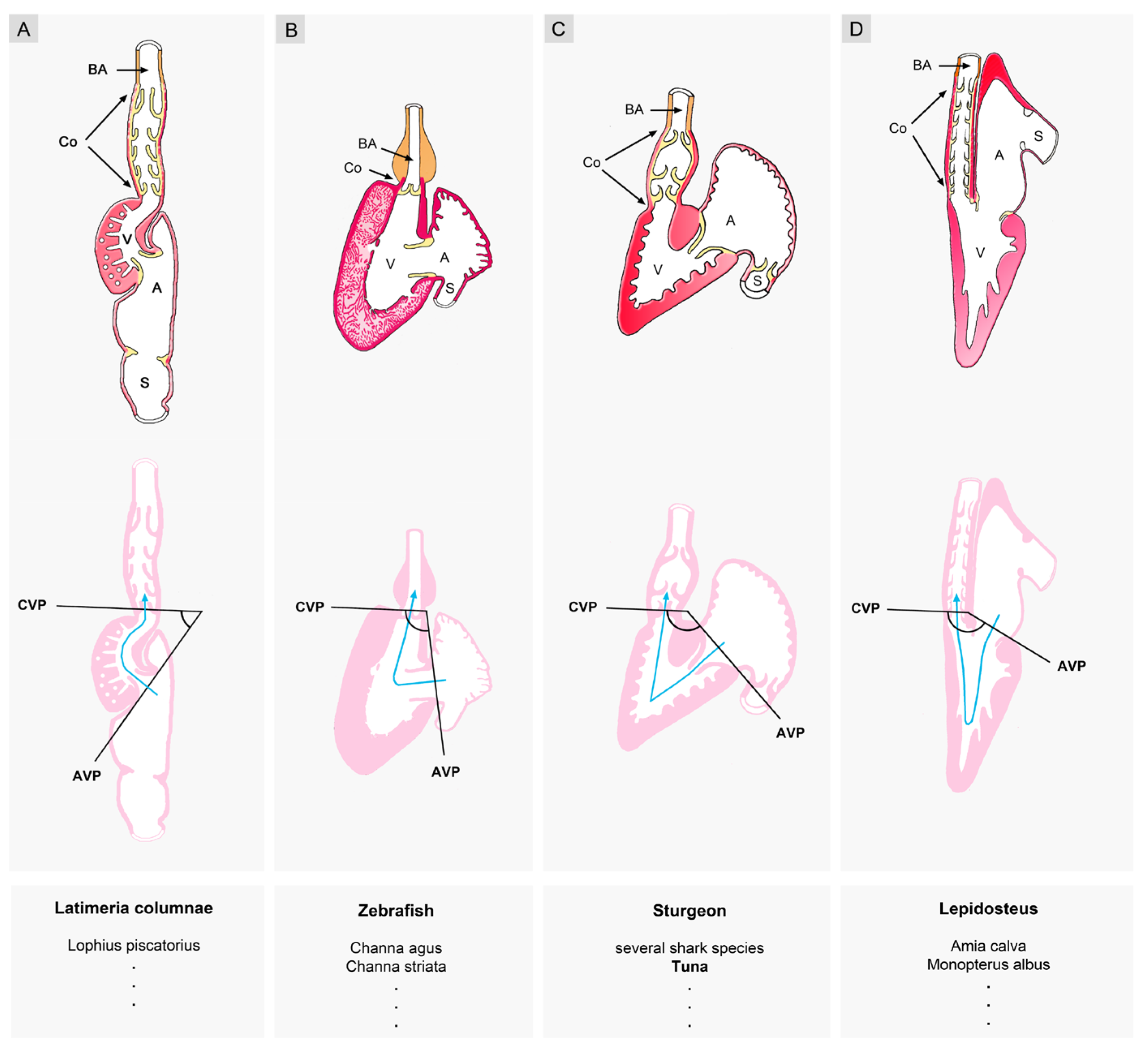 Preprints 111885 g007