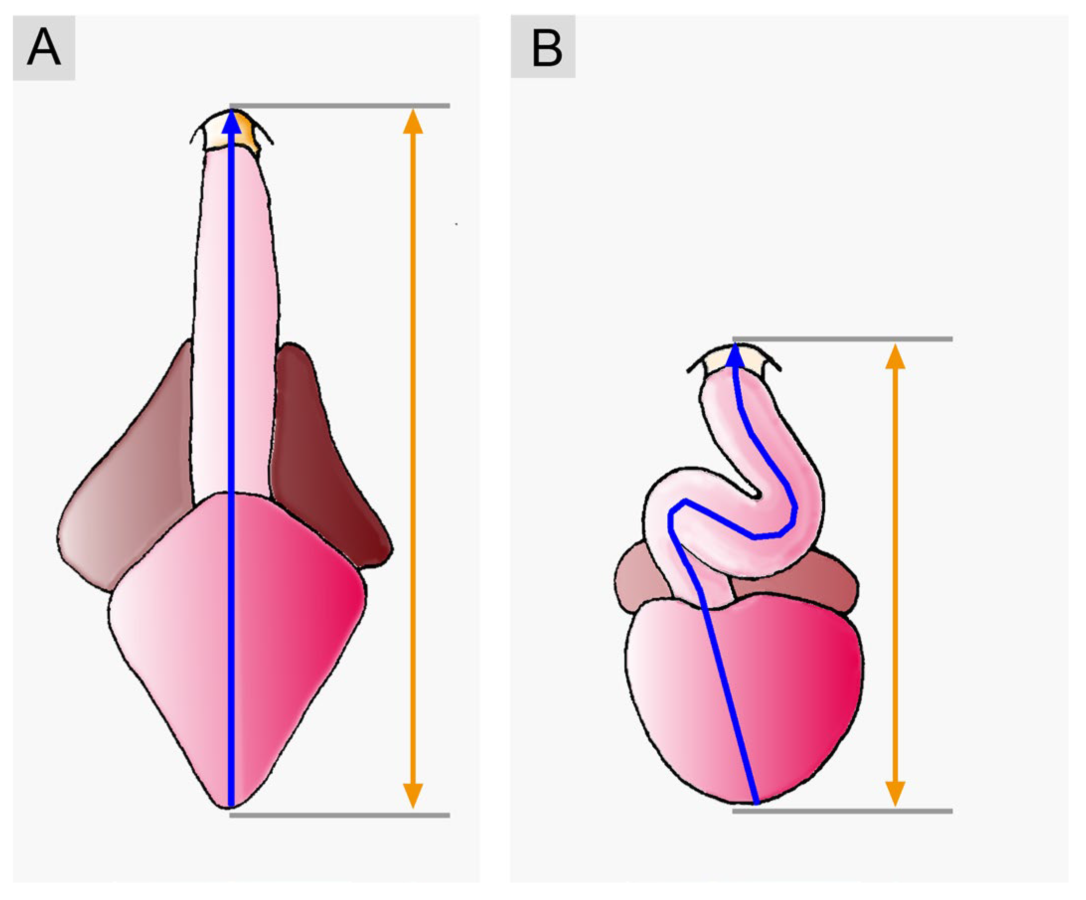 Preprints 111885 g009