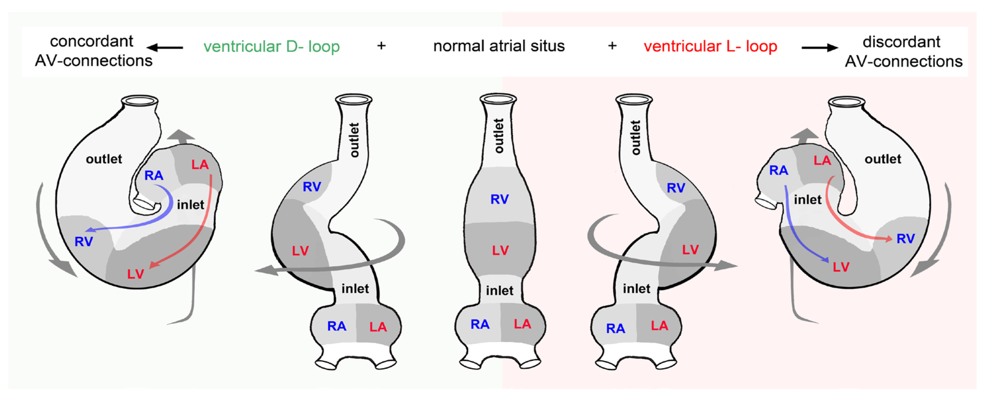 Preprints 111885 g010
