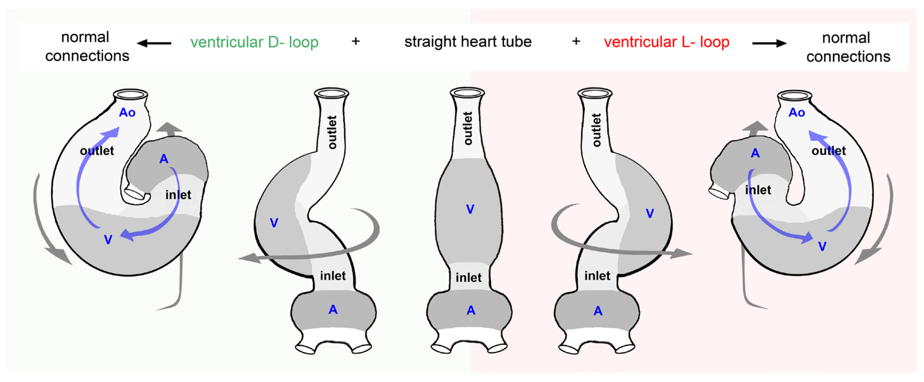 Preprints 111885 g011