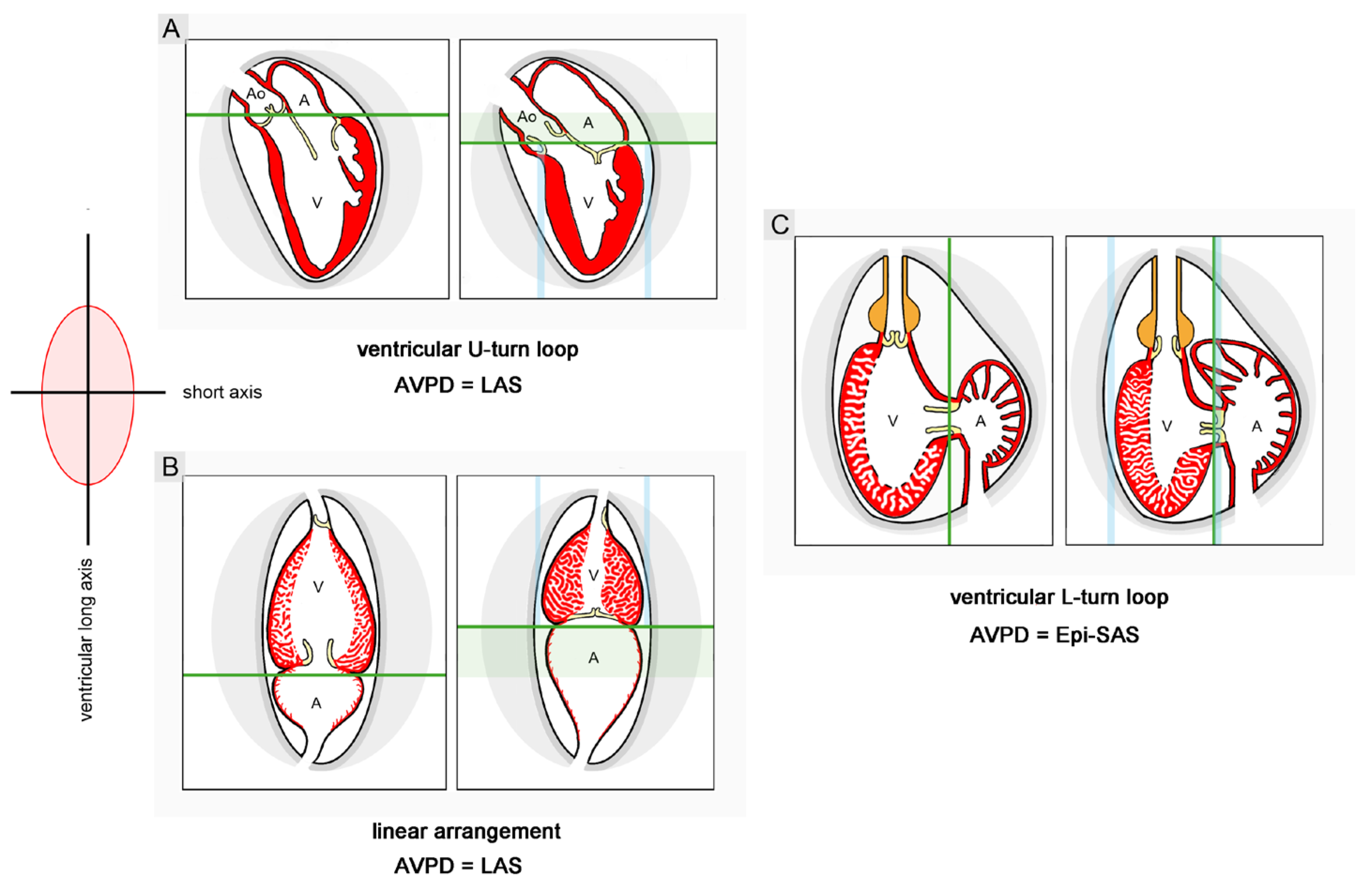Preprints 111885 g012